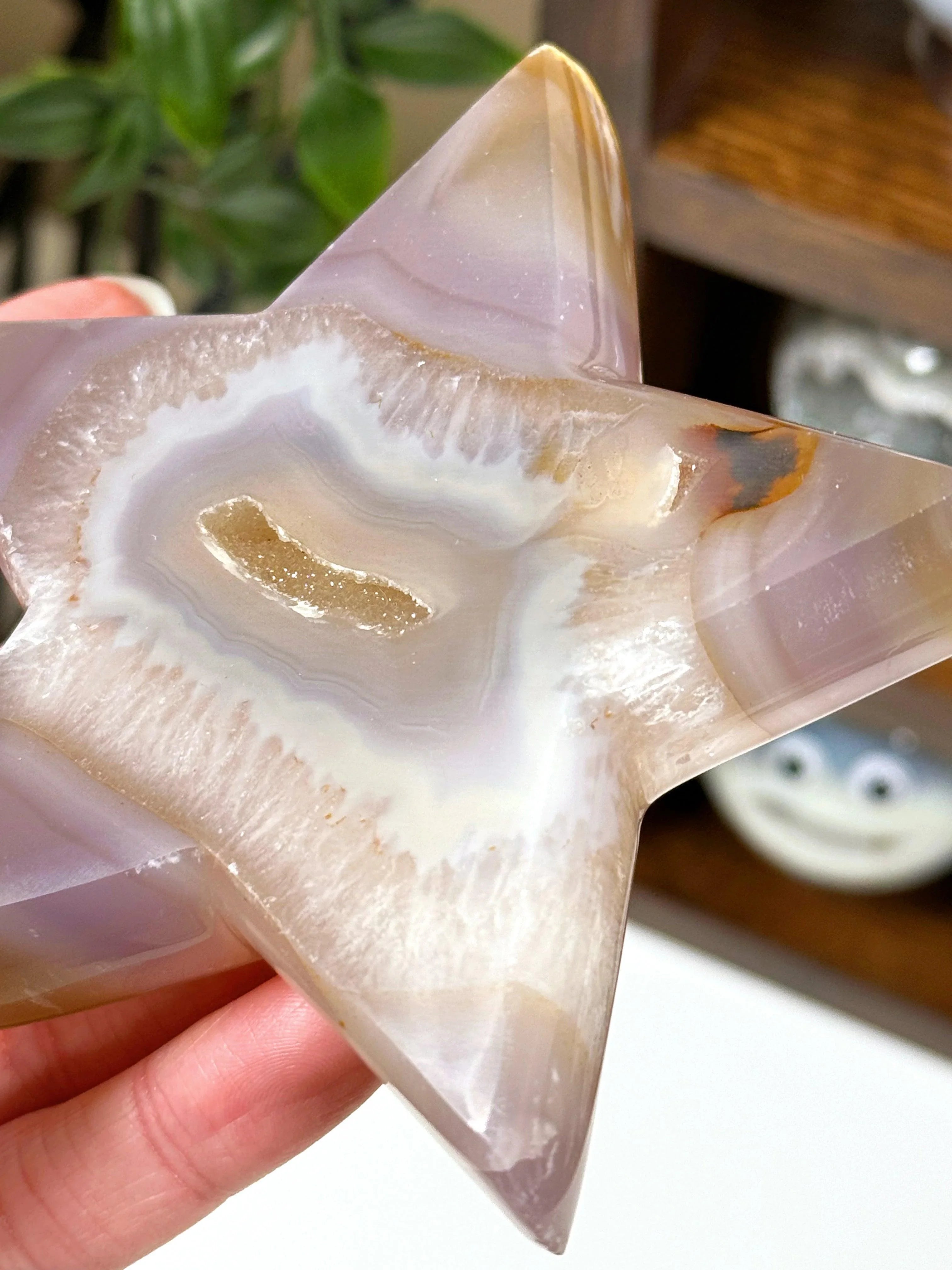 DRUZY AGATE STAR 8 - agate, Black Friday sale, druzy agate, googly agate, googly eye, googly eye agate, one of a kind, star, statement piece - The Mineral Maven