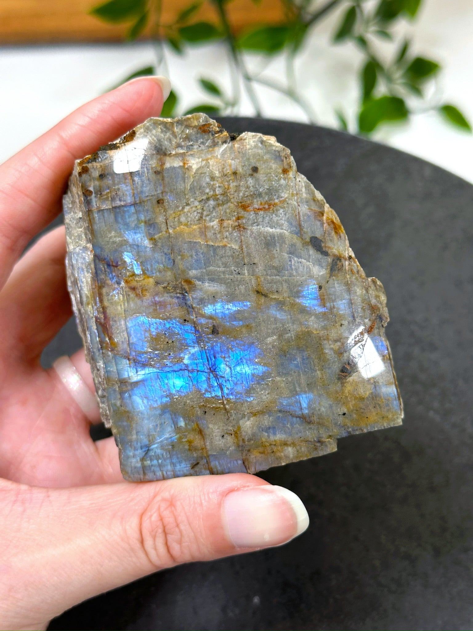 ELECTRIC BLUE MOONSTONE 1 (WISCONSIN) - Black Friday sale, blue moonstone, electric blue moonstone, moonstone, once in a blue moon, one of a kind, Wisconsin moonstone - The Mineral Maven