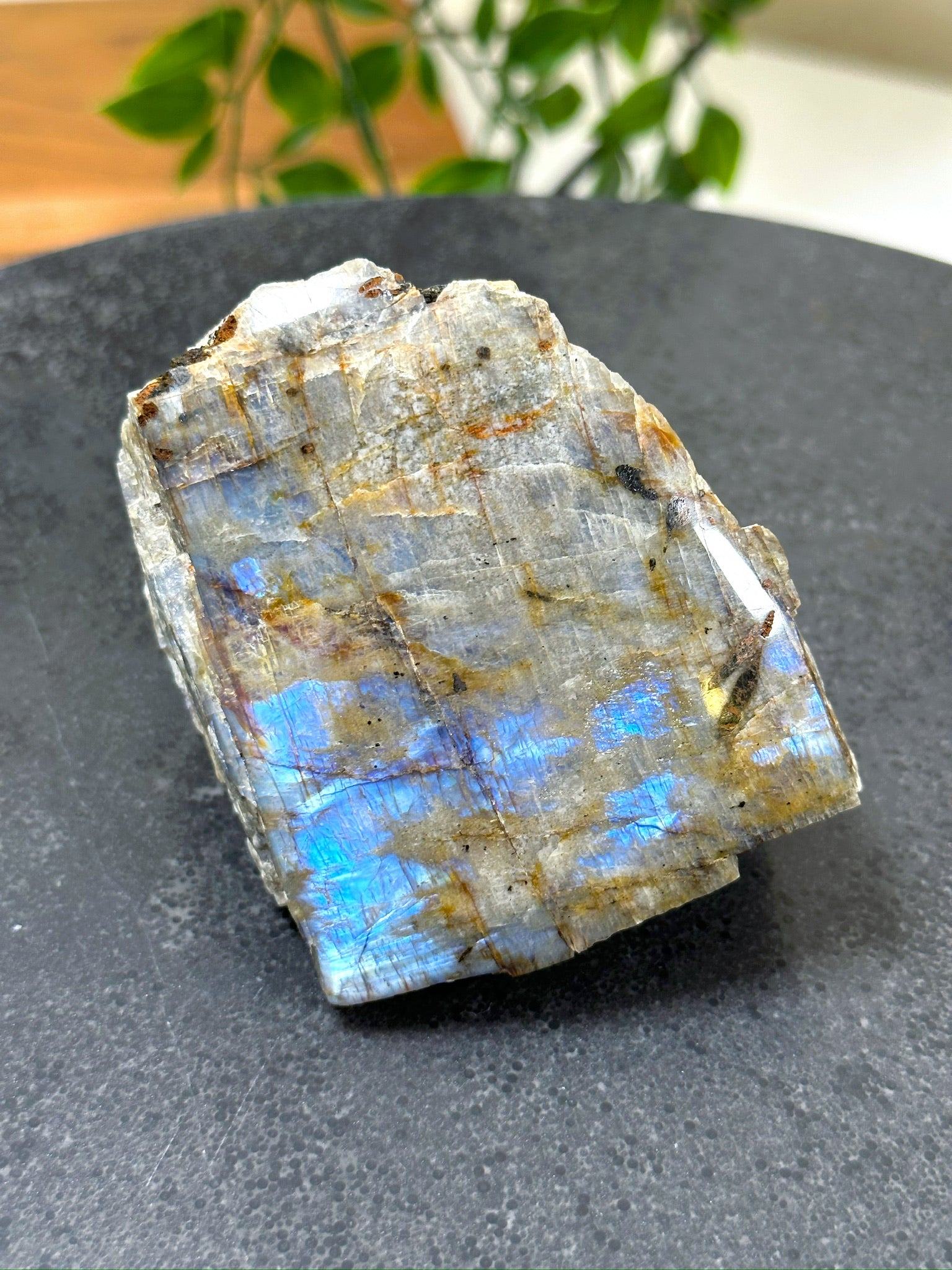 ELECTRIC BLUE MOONSTONE 1 (WISCONSIN) - Black Friday sale, blue moonstone, electric blue moonstone, moonstone, once in a blue moon, one of a kind, Wisconsin moonstone - The Mineral Maven