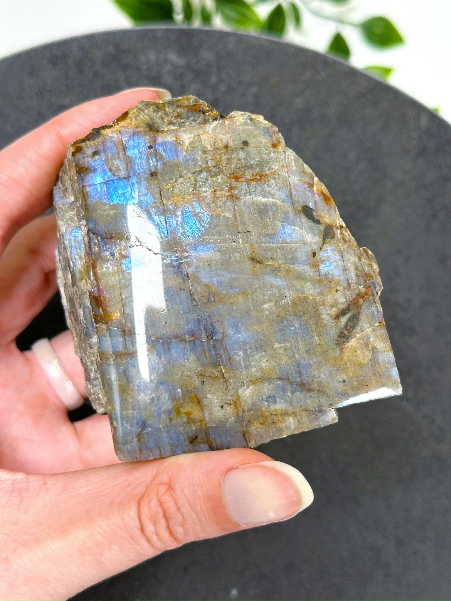 ELECTRIC BLUE MOONSTONE 1 (WISCONSIN) - Black Friday sale, blue moonstone, electric blue moonstone, moonstone, once in a blue moon, one of a kind, Wisconsin moonstone - The Mineral Maven