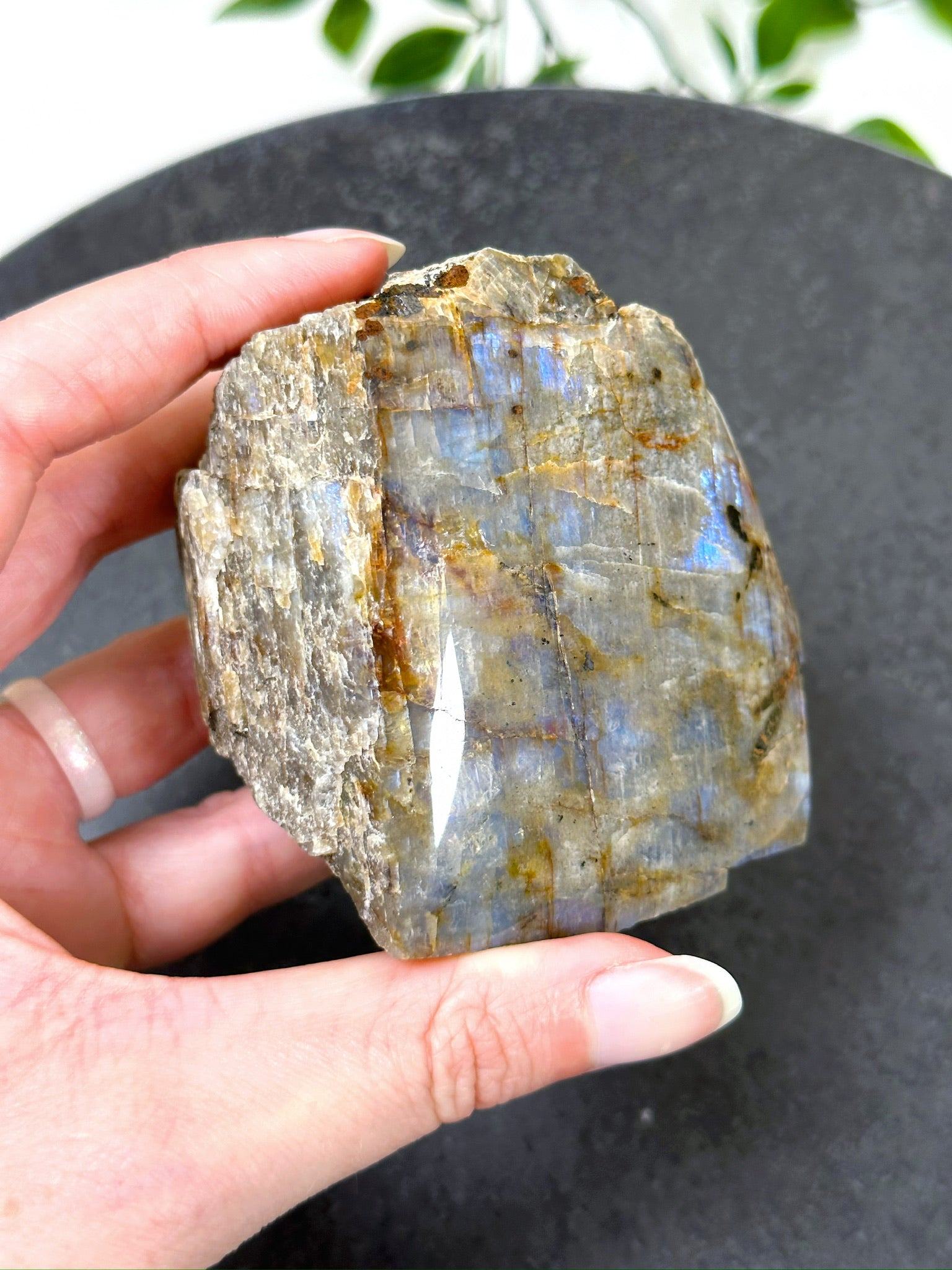 ELECTRIC BLUE MOONSTONE 1 (WISCONSIN) - Black Friday sale, blue moonstone, electric blue moonstone, moonstone, once in a blue moon, one of a kind, Wisconsin moonstone - The Mineral Maven
