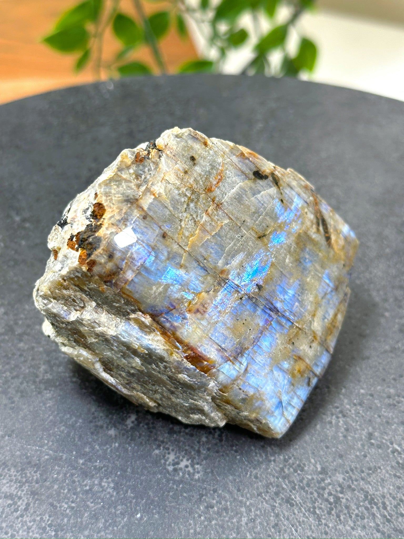 ELECTRIC BLUE MOONSTONE 1 (WISCONSIN) - Black Friday sale, blue moonstone, electric blue moonstone, moonstone, once in a blue moon, one of a kind, Wisconsin moonstone - The Mineral Maven