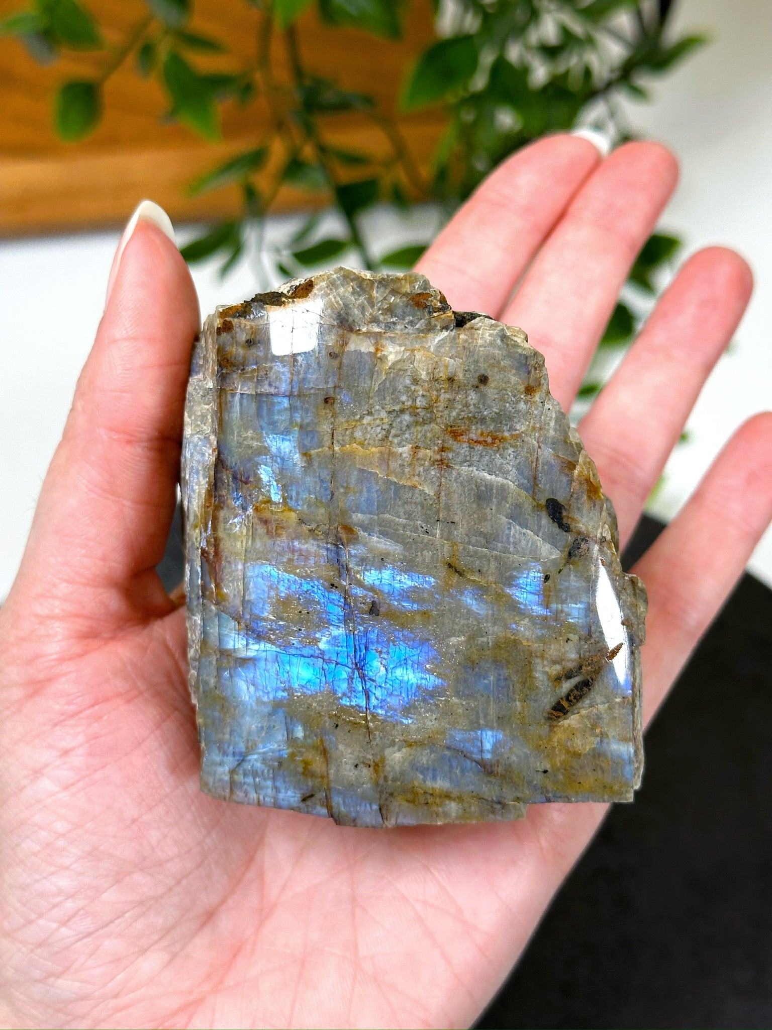 ELECTRIC BLUE MOONSTONE 1 (WISCONSIN) - Black Friday sale, blue moonstone, electric blue moonstone, moonstone, once in a blue moon, one of a kind, Wisconsin moonstone - The Mineral Maven