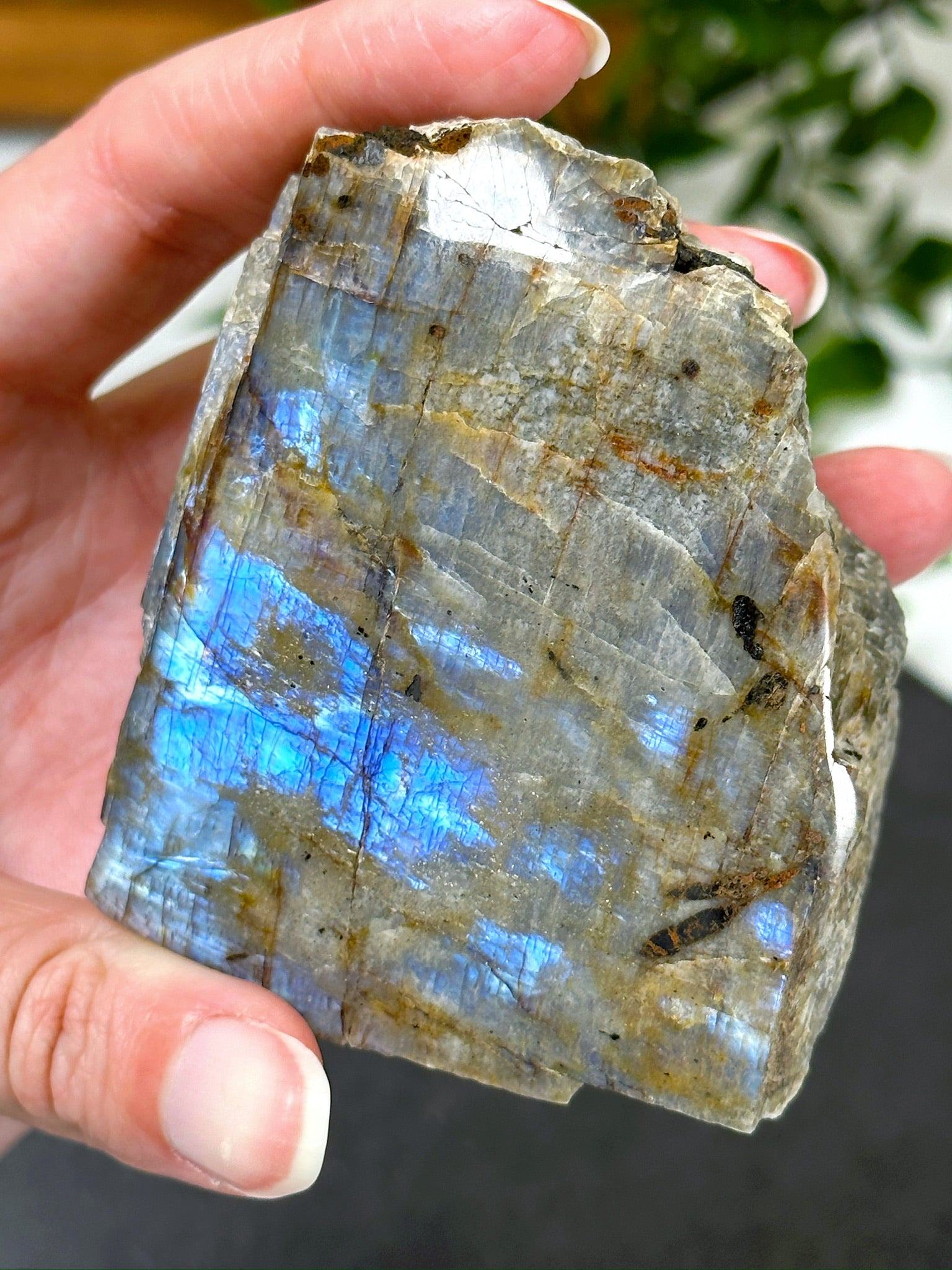 ELECTRIC BLUE MOONSTONE 1 (WISCONSIN) - Black Friday sale, blue moonstone, electric blue moonstone, moonstone, once in a blue moon, one of a kind, Wisconsin moonstone - The Mineral Maven