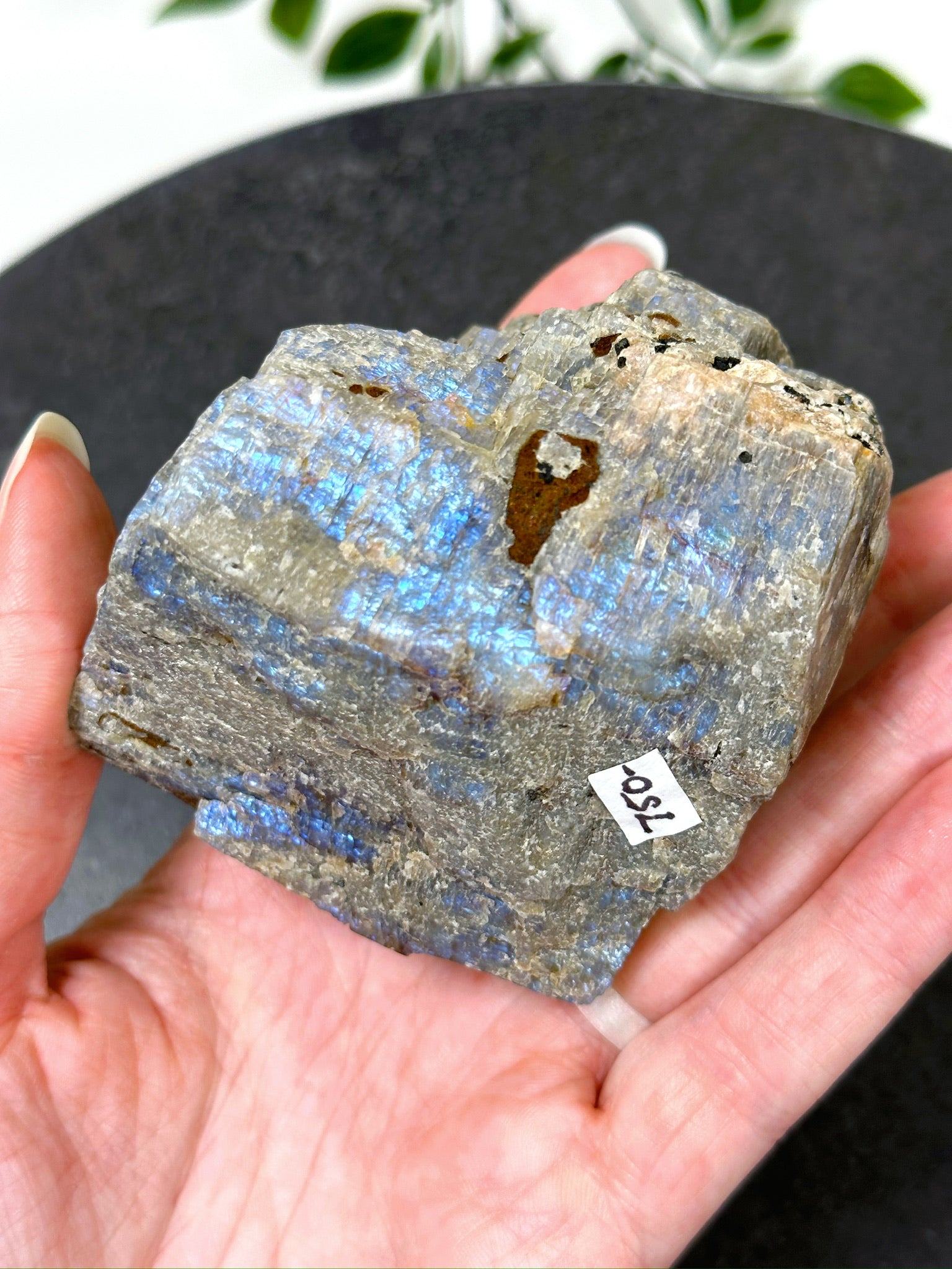 ELECTRIC BLUE MOONSTONE 1 (WISCONSIN) - Black Friday sale, blue moonstone, electric blue moonstone, moonstone, once in a blue moon, one of a kind, Wisconsin moonstone - The Mineral Maven
