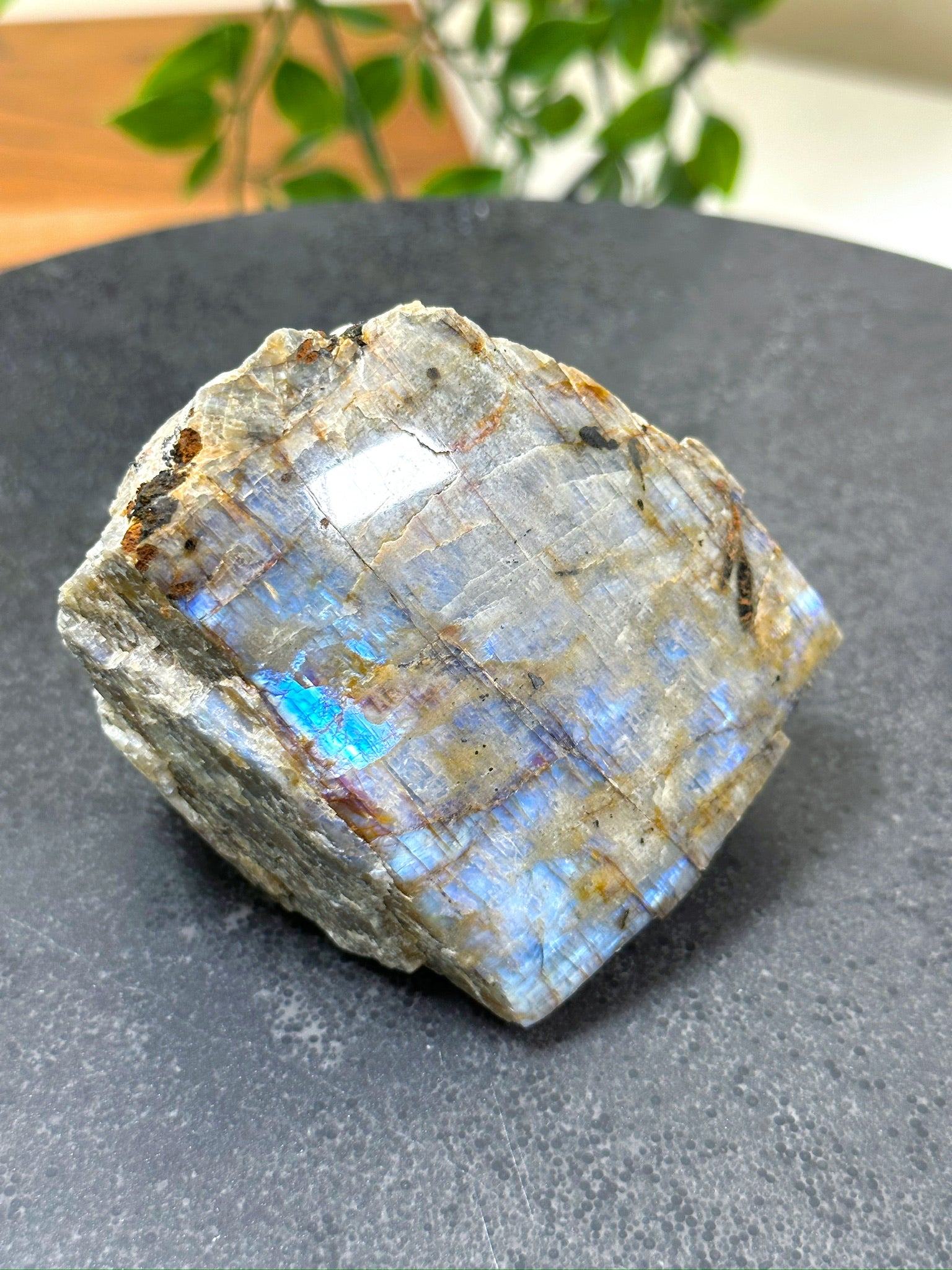 ELECTRIC BLUE MOONSTONE 1 (WISCONSIN) - Black Friday sale, blue moonstone, electric blue moonstone, moonstone, once in a blue moon, one of a kind, Wisconsin moonstone - The Mineral Maven