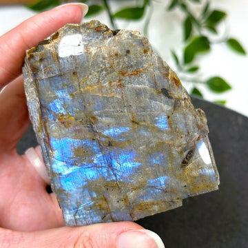 ELECTRIC BLUE MOONSTONE 1 (WISCONSIN) - blue moonstone, electric blue moonstone, moonstone, once in a blue moon, one of a kind, Recently added, Wisconsin moonstone - The Mineral Maven