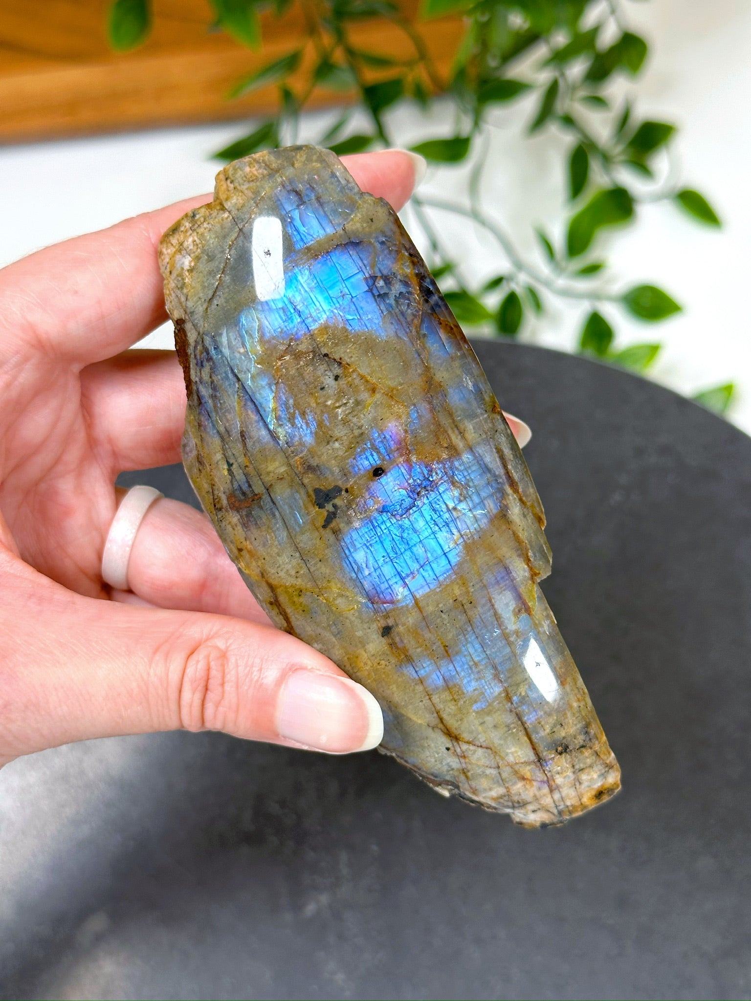 ELECTRIC BLUE MOONSTONE 2 (WISCONSIN) - Black Friday sale, blue moonstone, electric blue moonstone, moonstone, once in a blue moon, one of a kind, Wisconsin moonstone - The Mineral Maven