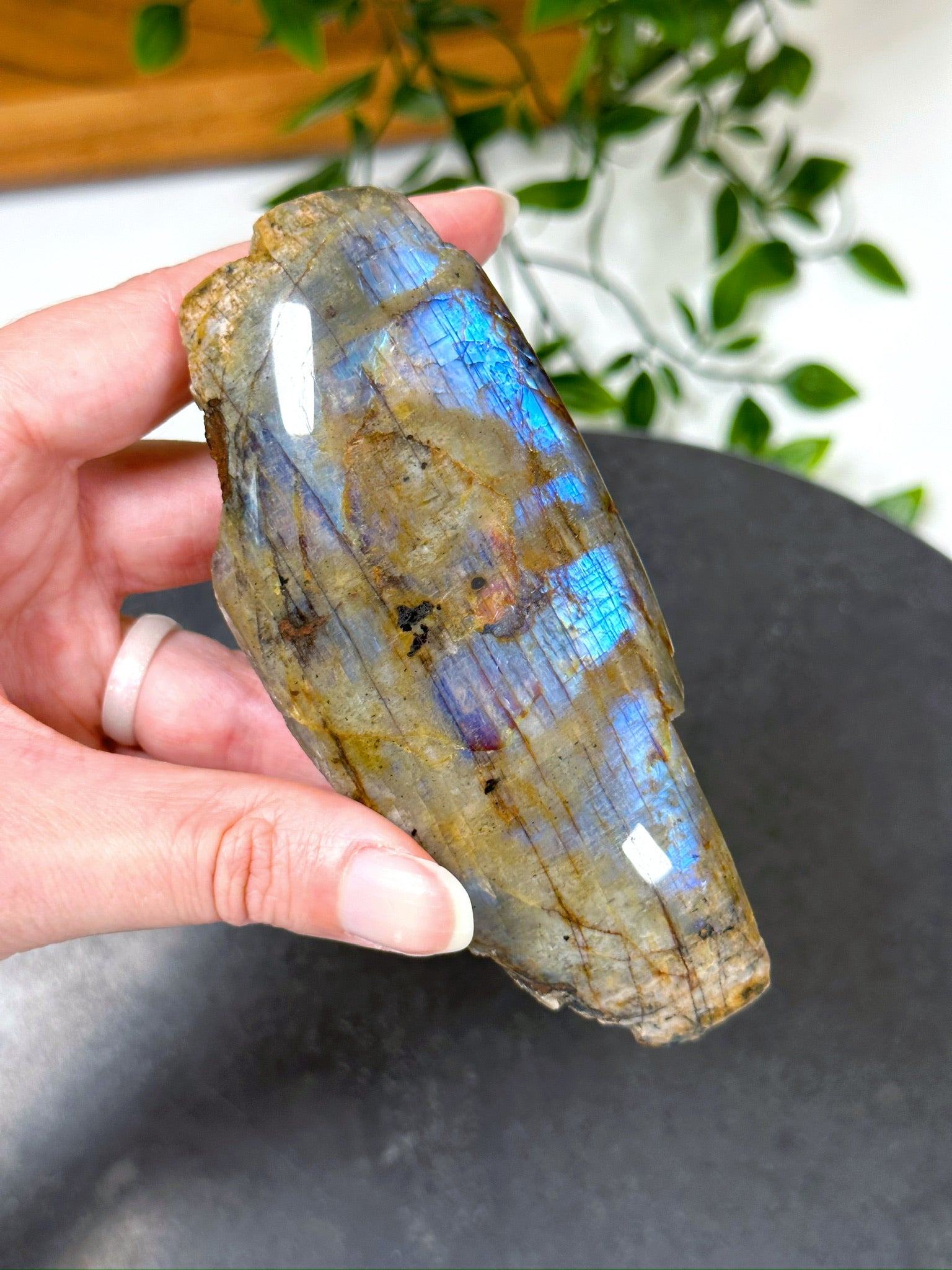 ELECTRIC BLUE MOONSTONE 2 (WISCONSIN) - Black Friday sale, blue moonstone, electric blue moonstone, moonstone, once in a blue moon, one of a kind, Wisconsin moonstone - The Mineral Maven