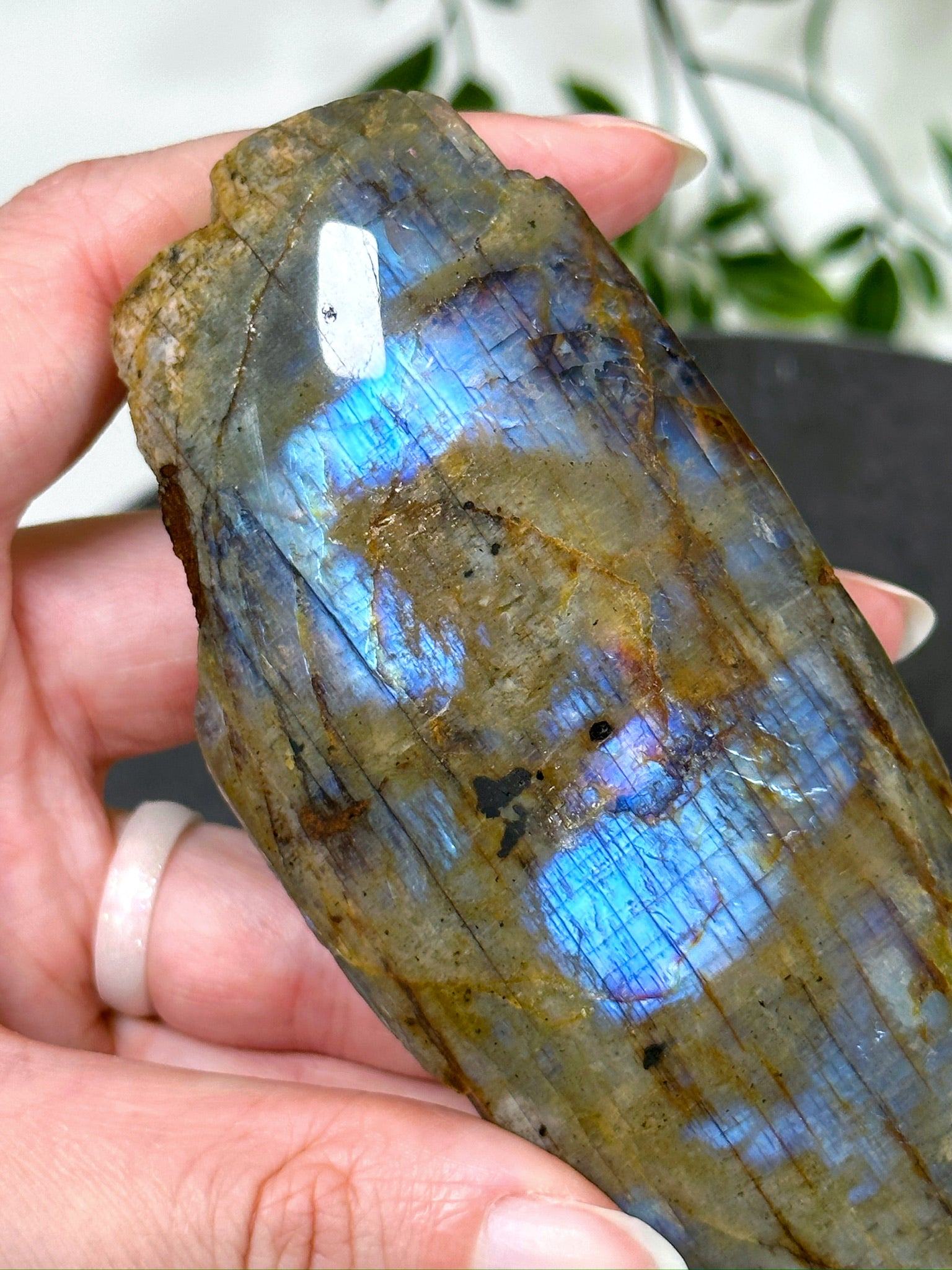 ELECTRIC BLUE MOONSTONE 2 (WISCONSIN) - Black Friday sale, blue moonstone, electric blue moonstone, moonstone, once in a blue moon, one of a kind, Wisconsin moonstone - The Mineral Maven