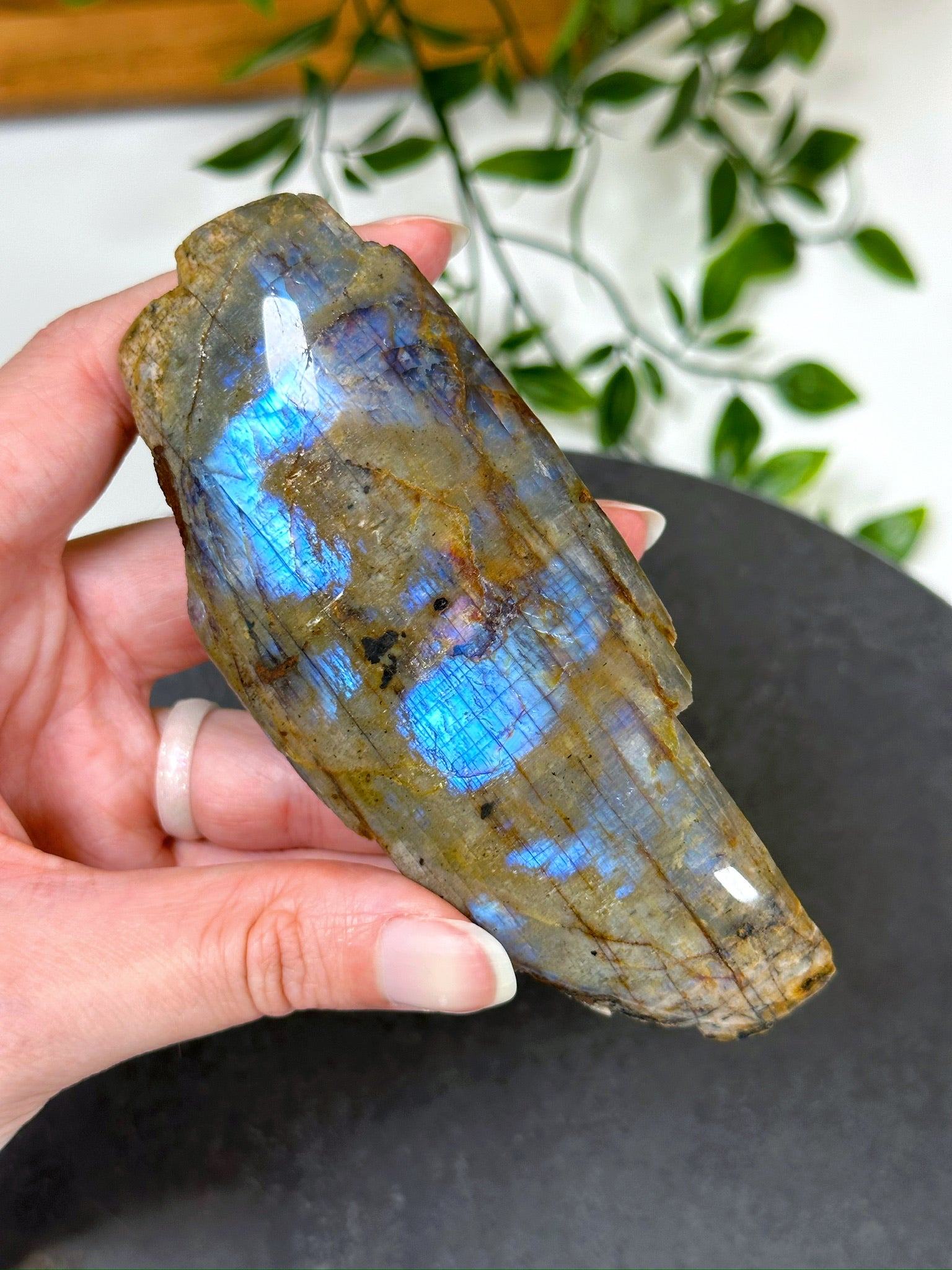 ELECTRIC BLUE MOONSTONE 2 (WISCONSIN) - Black Friday sale, blue moonstone, electric blue moonstone, moonstone, once in a blue moon, one of a kind, Wisconsin moonstone - The Mineral Maven