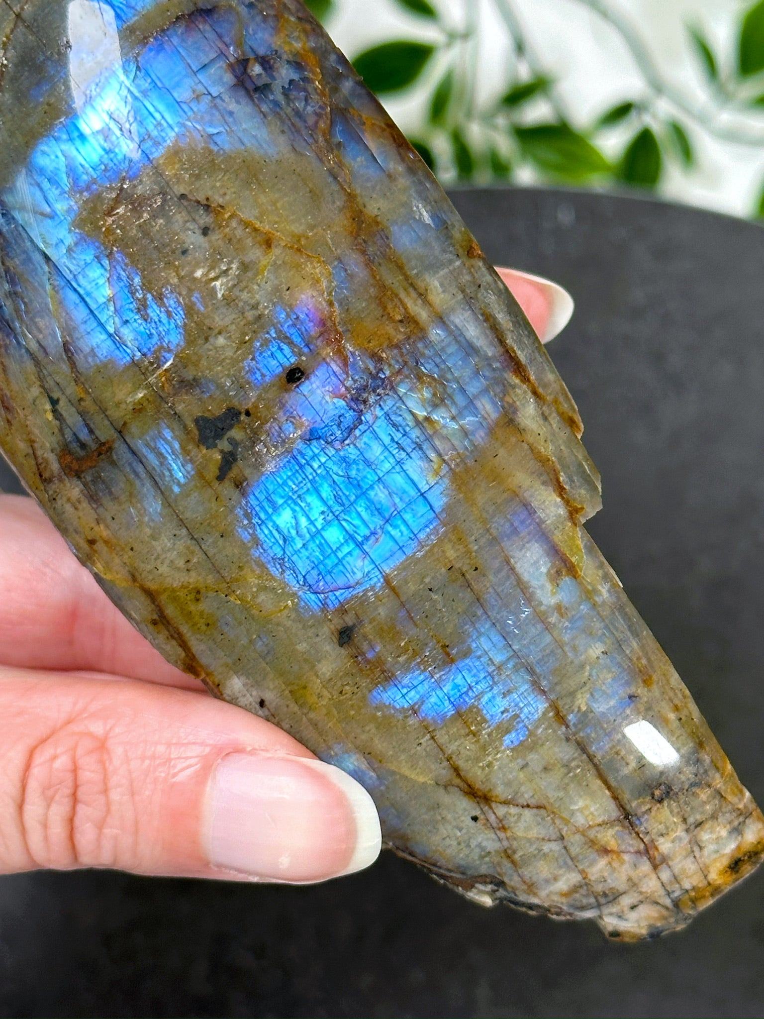 ELECTRIC BLUE MOONSTONE 2 (WISCONSIN) - Black Friday sale, blue moonstone, electric blue moonstone, moonstone, once in a blue moon, one of a kind, Wisconsin moonstone - The Mineral Maven