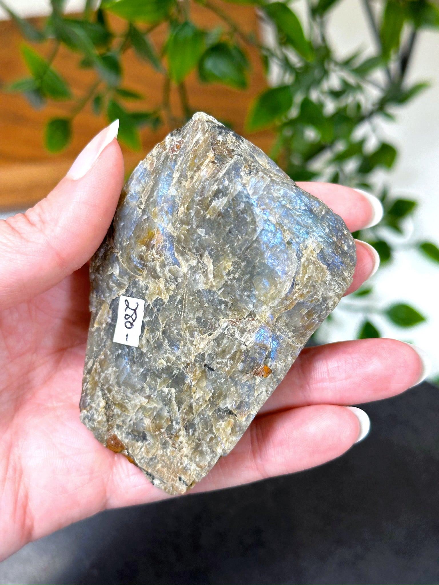 ELECTRIC BLUE MOONSTONE 3 (WISCONSIN) - Black Friday sale, blue moonstone, electric blue moonstone, moonstone, once in a blue moon, one of a kind, Wisconsin moonstone - The Mineral Maven