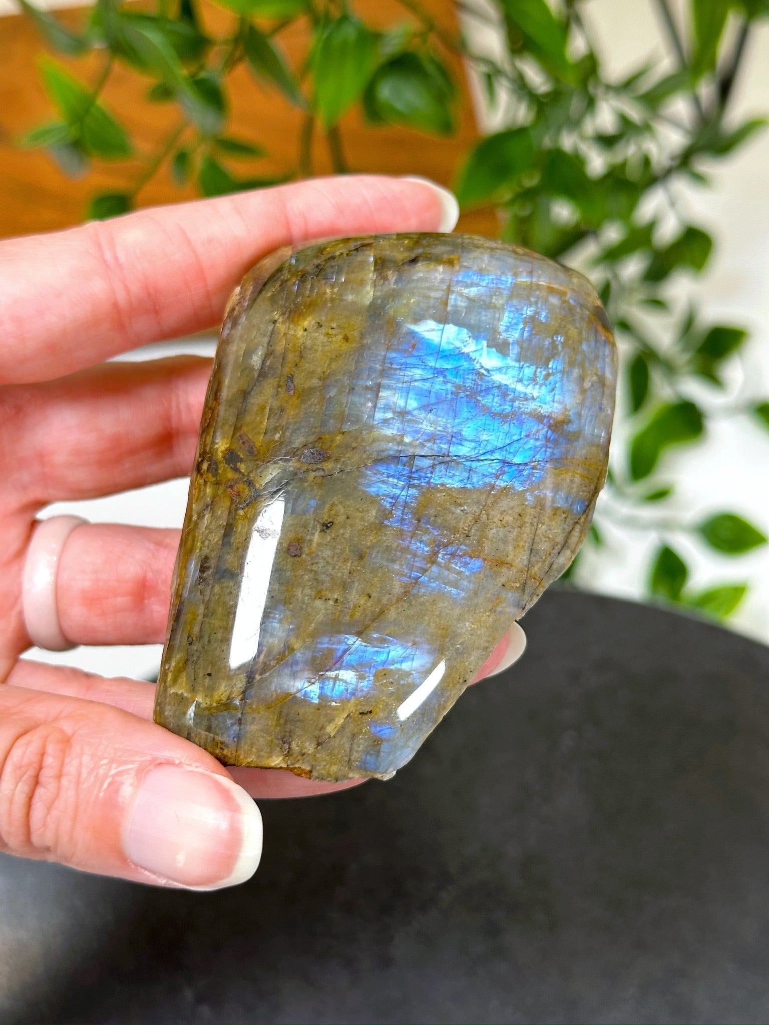 ELECTRIC BLUE MOONSTONE 3 (WISCONSIN) - Black Friday sale, blue moonstone, electric blue moonstone, moonstone, once in a blue moon, one of a kind, Wisconsin moonstone - The Mineral Maven
