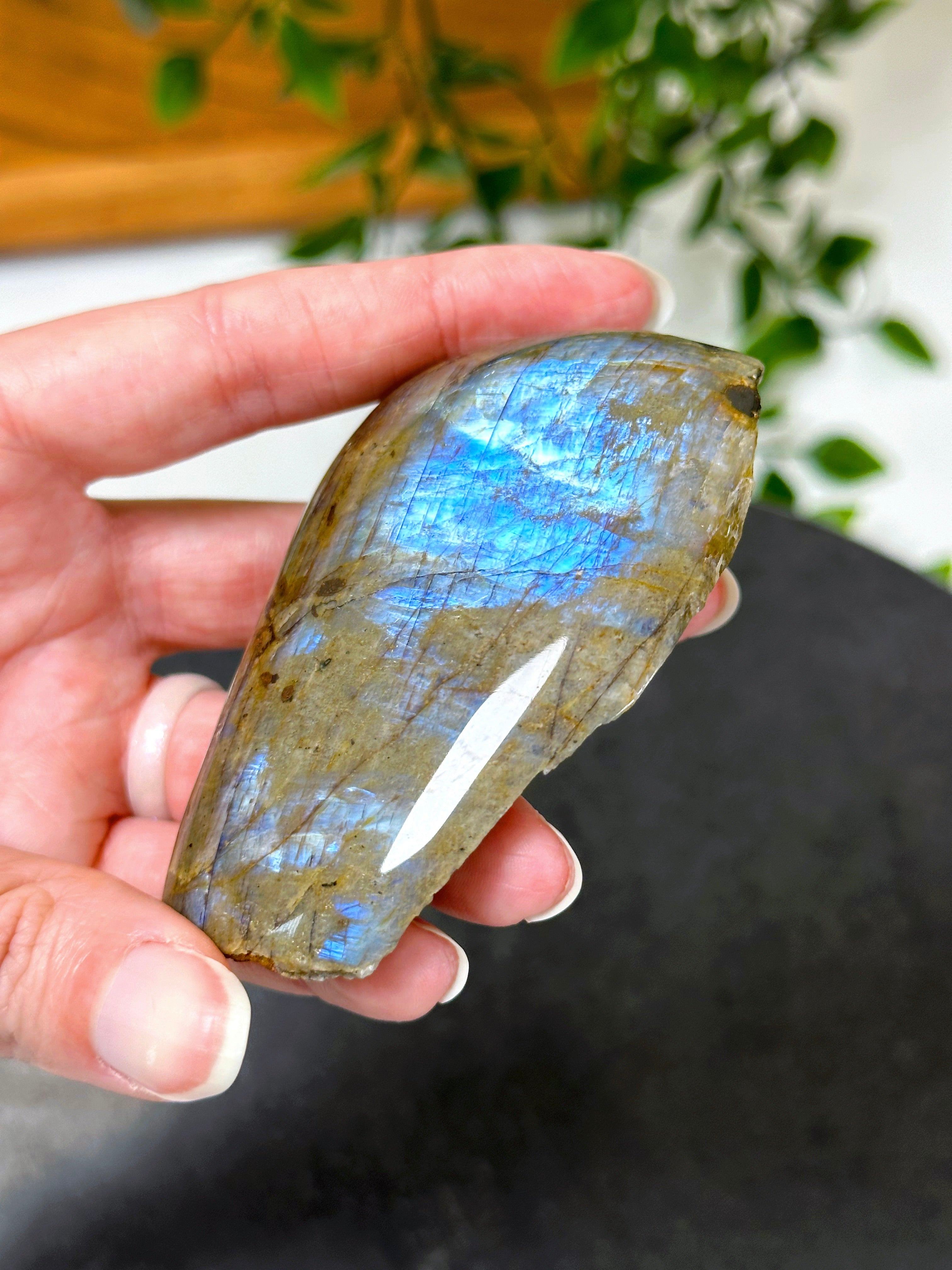 ELECTRIC BLUE MOONSTONE 3 (WISCONSIN) - Black Friday sale, blue moonstone, electric blue moonstone, moonstone, once in a blue moon, one of a kind, Wisconsin moonstone - The Mineral Maven
