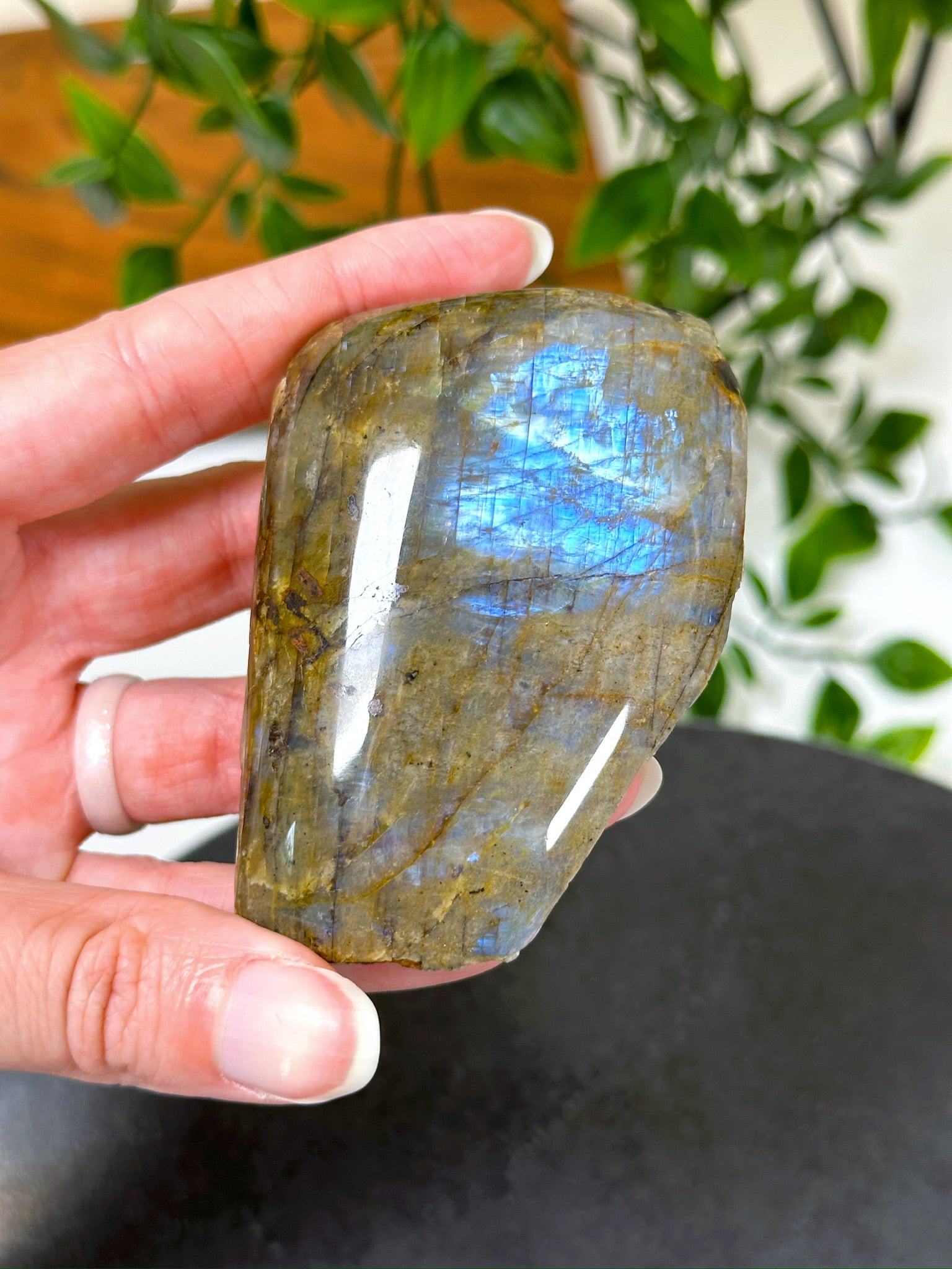 ELECTRIC BLUE MOONSTONE 3 (WISCONSIN) - Black Friday sale, blue moonstone, electric blue moonstone, moonstone, once in a blue moon, one of a kind, Wisconsin moonstone - The Mineral Maven