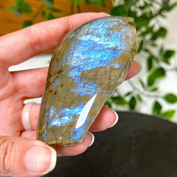 ELECTRIC BLUE MOONSTONE 3 (WISCONSIN) - blue moonstone, electric blue moonstone, moonstone, once in a blue moon, one of a kind, Recently added, Wisconsin moonstone - The Mineral Maven