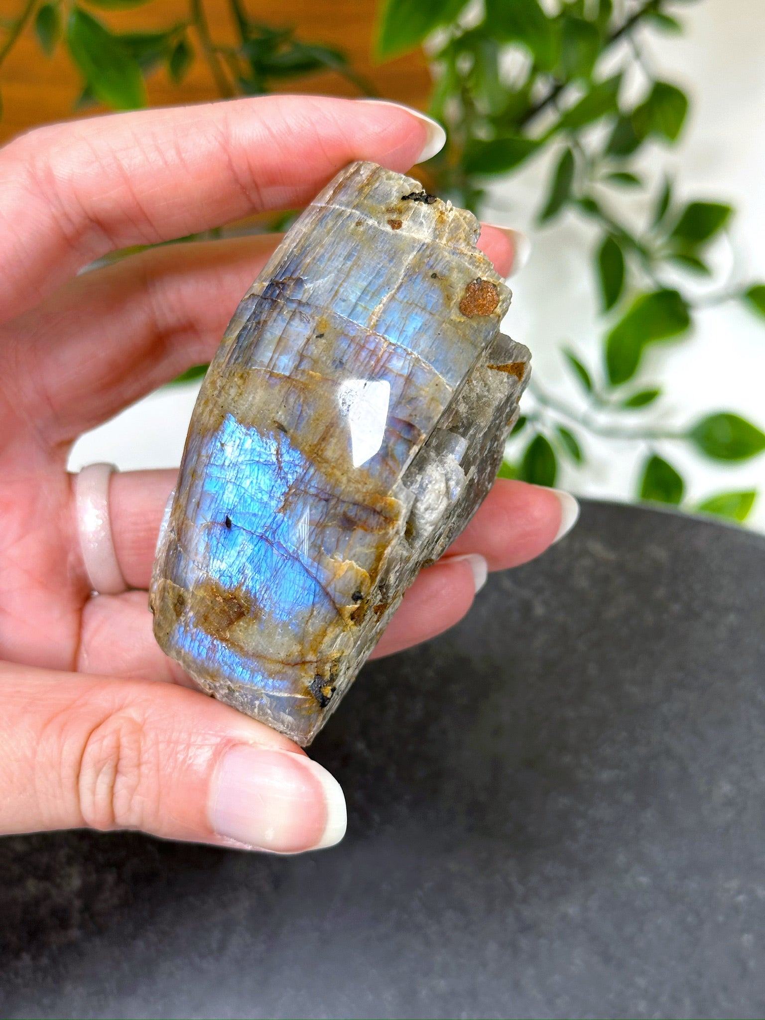 ELECTRIC BLUE MOONSTONE 4 (WISCONSIN) - Black Friday sale, blue moonstone, electric blue moonstone, moonstone, once in a blue moon, one of a kind, Wisconsin moonstone - The Mineral Maven