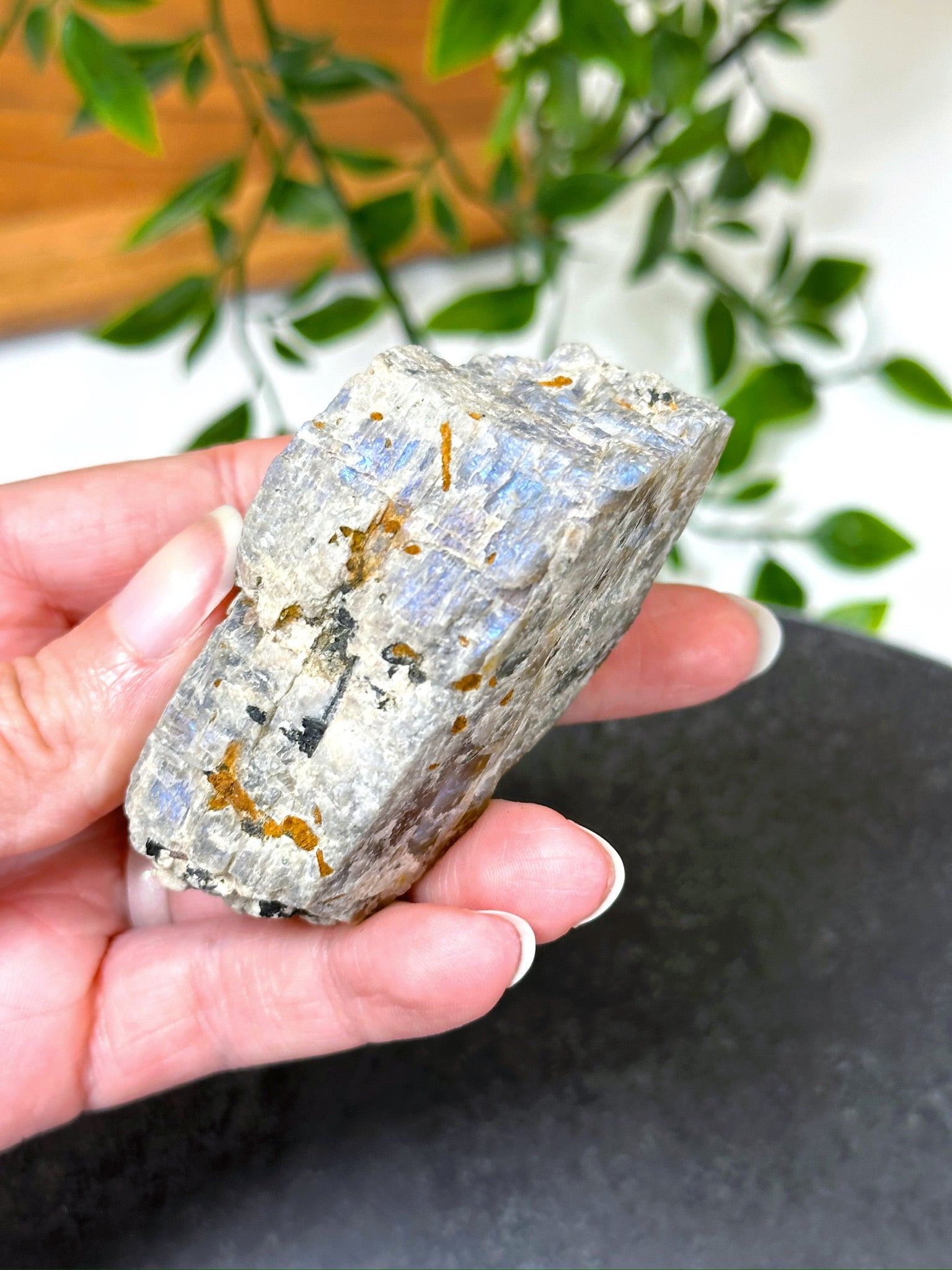 ELECTRIC BLUE MOONSTONE 4 (WISCONSIN) - Black Friday sale, blue moonstone, electric blue moonstone, moonstone, once in a blue moon, one of a kind, Wisconsin moonstone - The Mineral Maven