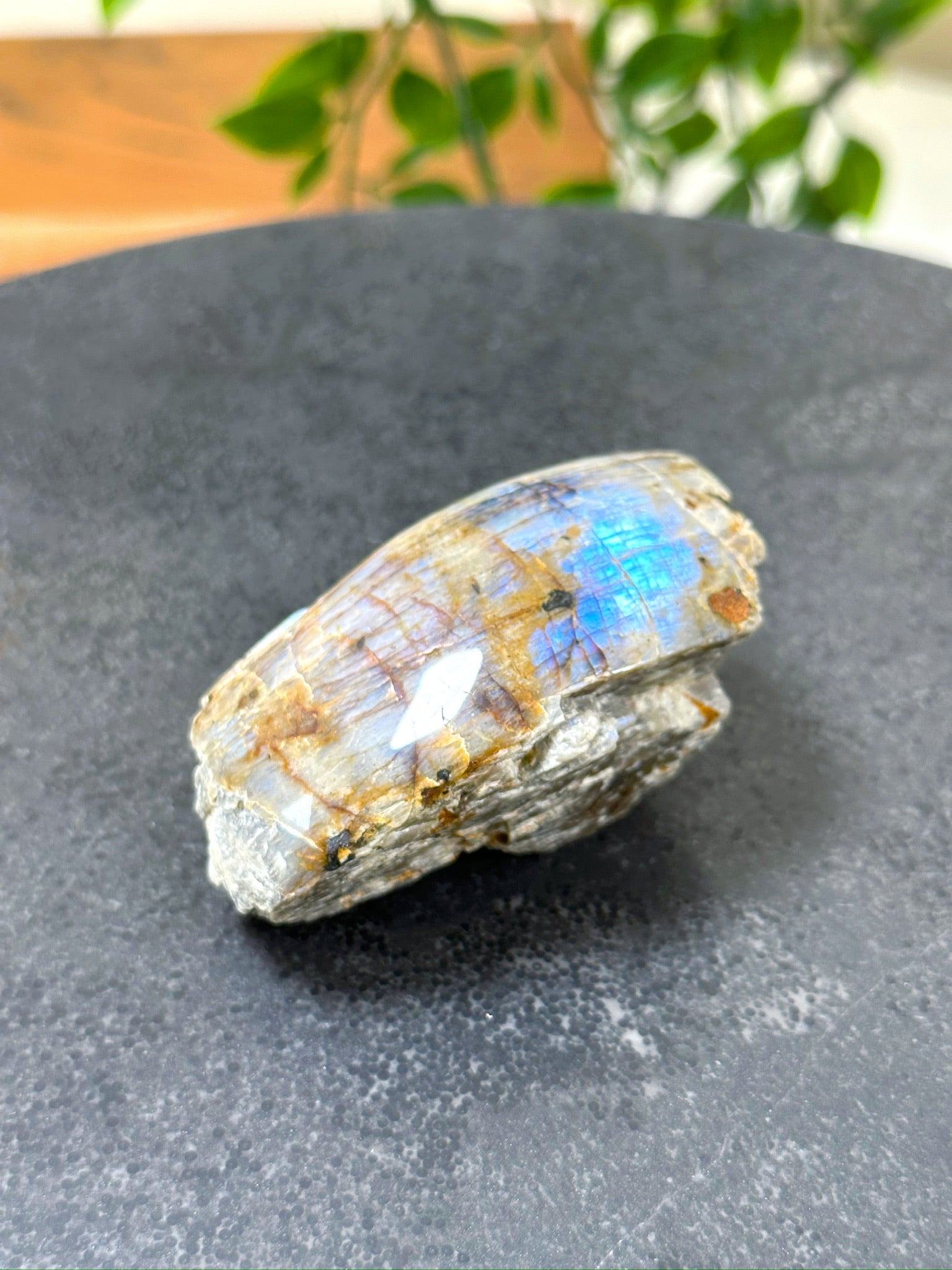 ELECTRIC BLUE MOONSTONE 4 (WISCONSIN) - Black Friday sale, blue moonstone, electric blue moonstone, moonstone, once in a blue moon, one of a kind, Wisconsin moonstone - The Mineral Maven