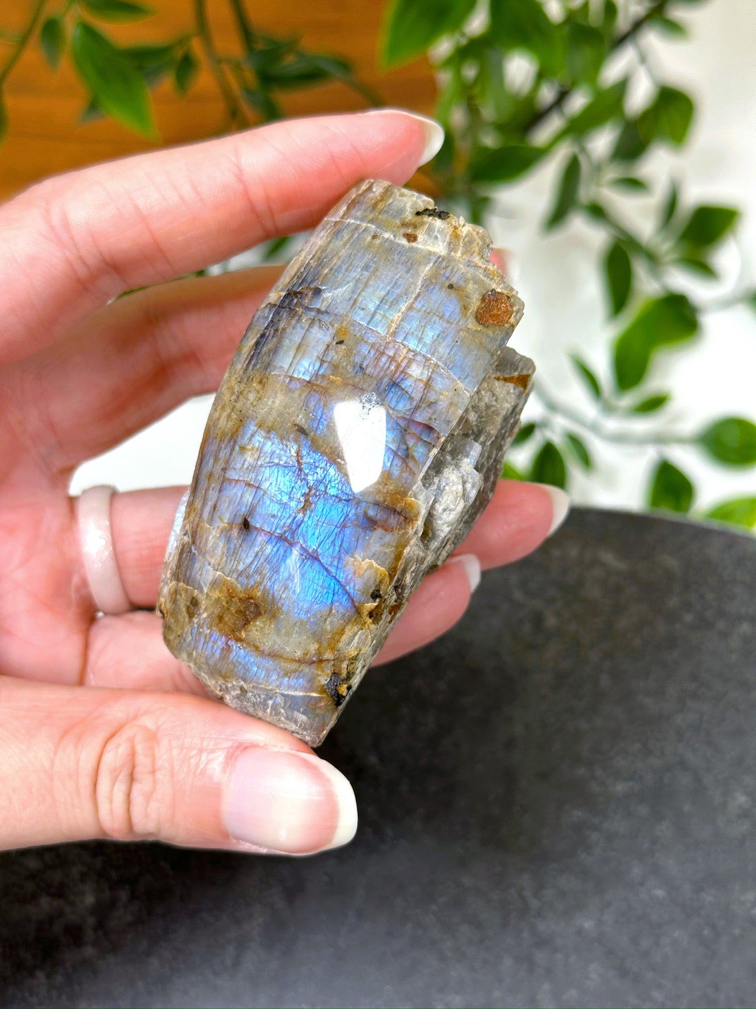 ELECTRIC BLUE MOONSTONE 4 (WISCONSIN) - Black Friday sale, blue moonstone, electric blue moonstone, moonstone, once in a blue moon, one of a kind, Wisconsin moonstone - The Mineral Maven
