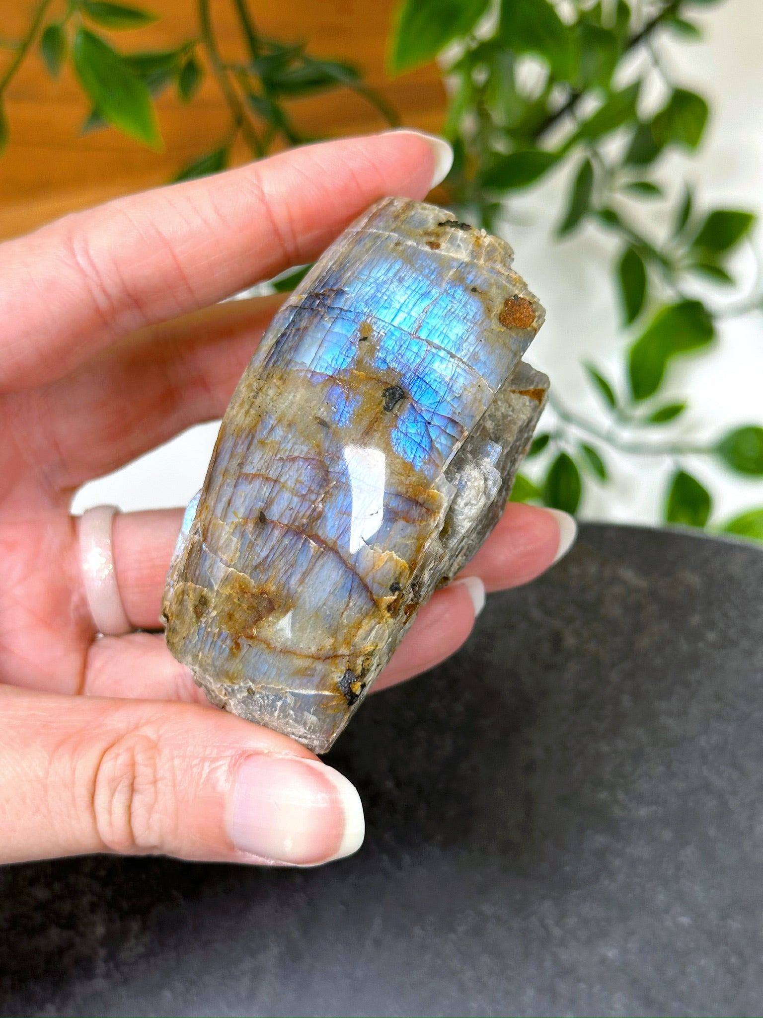 ELECTRIC BLUE MOONSTONE 4 (WISCONSIN) - Black Friday sale, blue moonstone, electric blue moonstone, moonstone, once in a blue moon, one of a kind, Wisconsin moonstone - The Mineral Maven