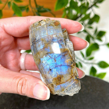 ELECTRIC BLUE MOONSTONE 4 (WISCONSIN) - blue moonstone, electric blue moonstone, moonstone, once in a blue moon, one of a kind, Recently added, Wisconsin moonstone - The Mineral Maven