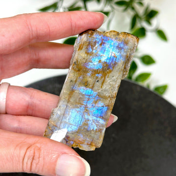 ELECTRIC BLUE MOONSTONE 5 (WISCONSIN) - blue moonstone, electric blue moonstone, moonstone, once in a blue moon, one of a kind, Recently added, Wisconsin moonstone - The Mineral Maven