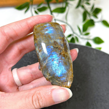 ELECTRIC BLUE MOONSTONE 6 (WISCONSIN) - blue moonstone, electric blue moonstone, moonstone, once in a blue moon, one of a kind, Recently added, Wisconsin moonstone - The Mineral Maven