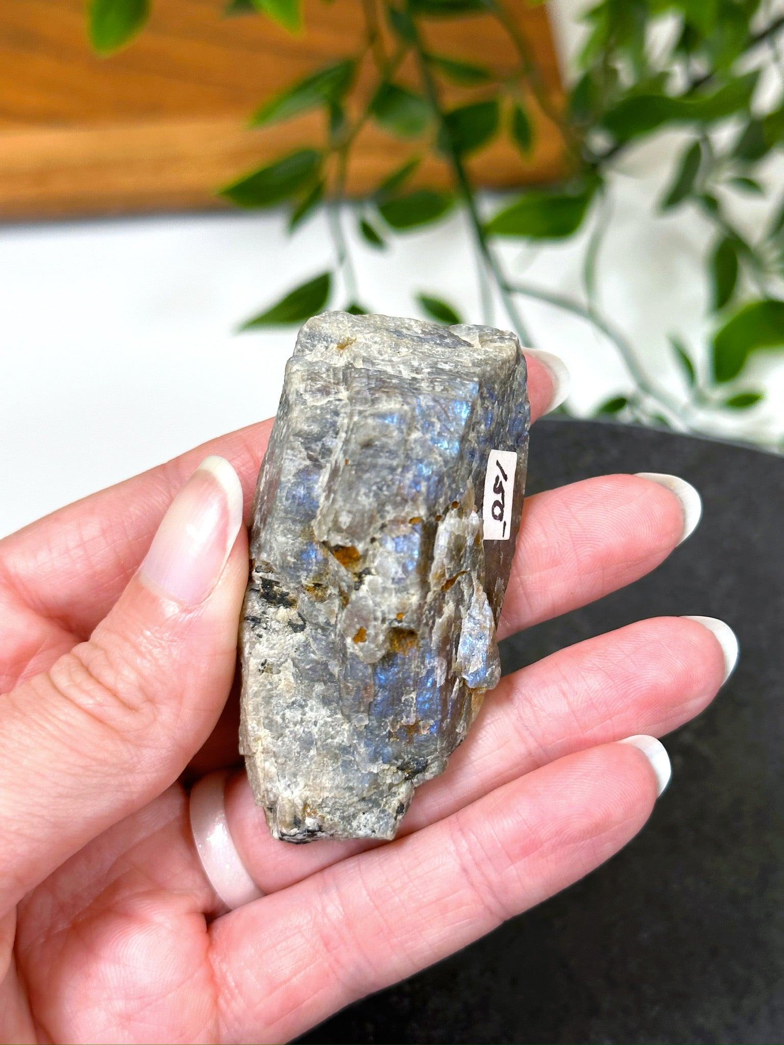 ELECTRIC BLUE MOONSTONE 6 (WISCONSIN) - blue moonstone, electric blue moonstone, moonstone, once in a blue moon, one of a kind, Recently added, Wisconsin moonstone - The Mineral Maven