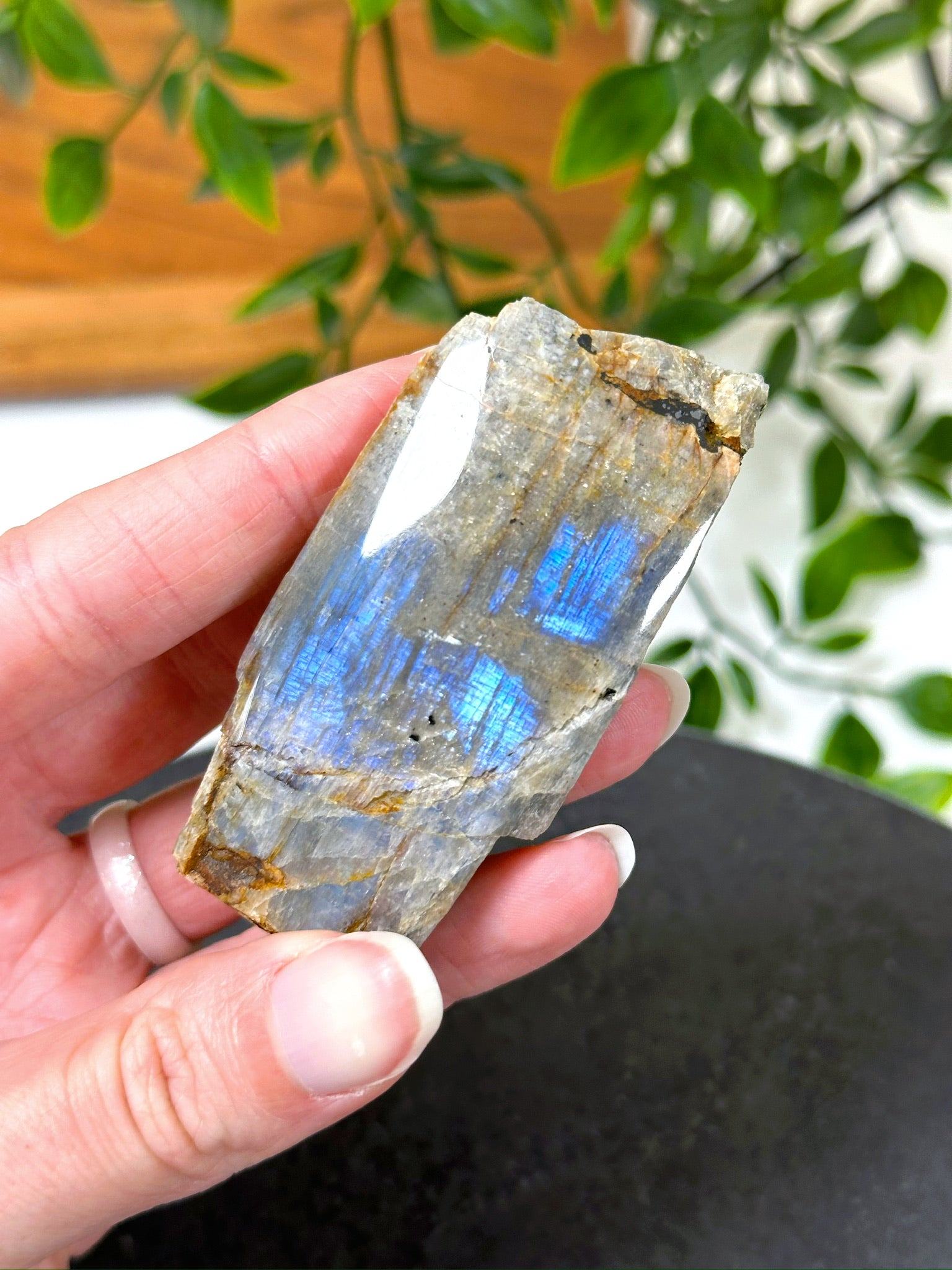 ELECTRIC BLUE MOONSTONE 7 (WISCONSIN) - Black Friday sale, blue moonstone, electric blue moonstone, moonstone, once in a blue moon, one of a kind, Wisconsin moonstone - The Mineral Maven