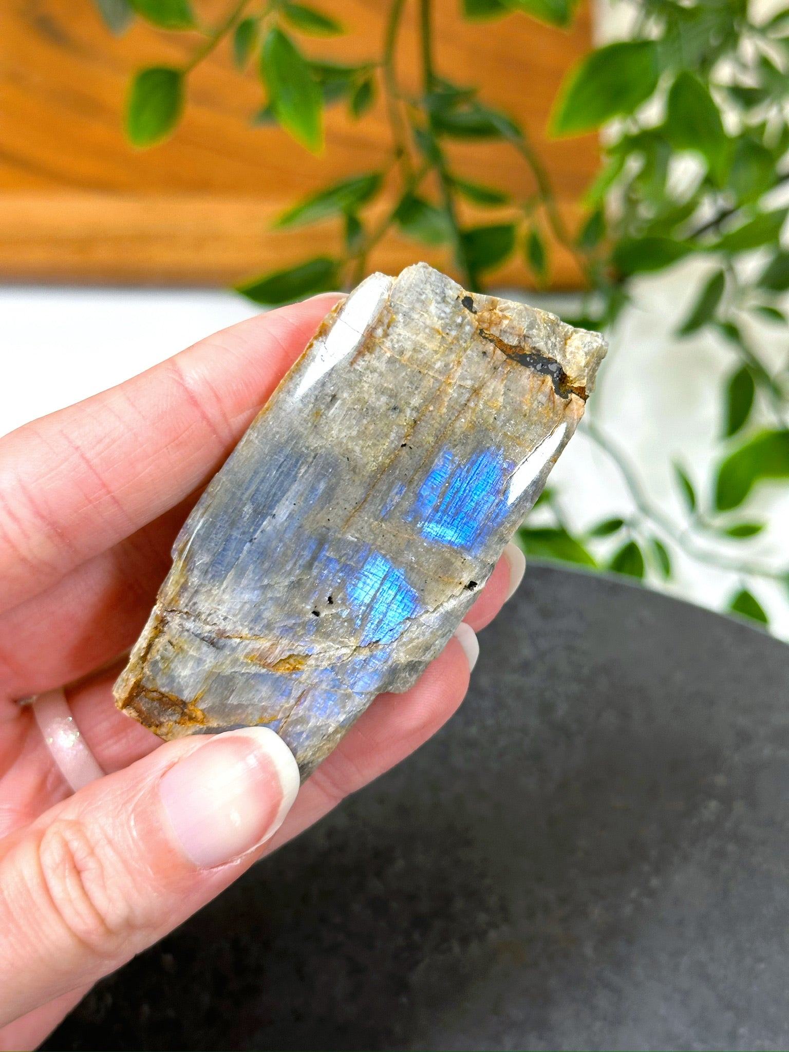 ELECTRIC BLUE MOONSTONE 7 (WISCONSIN) - Black Friday sale, blue moonstone, electric blue moonstone, moonstone, once in a blue moon, one of a kind, Wisconsin moonstone - The Mineral Maven