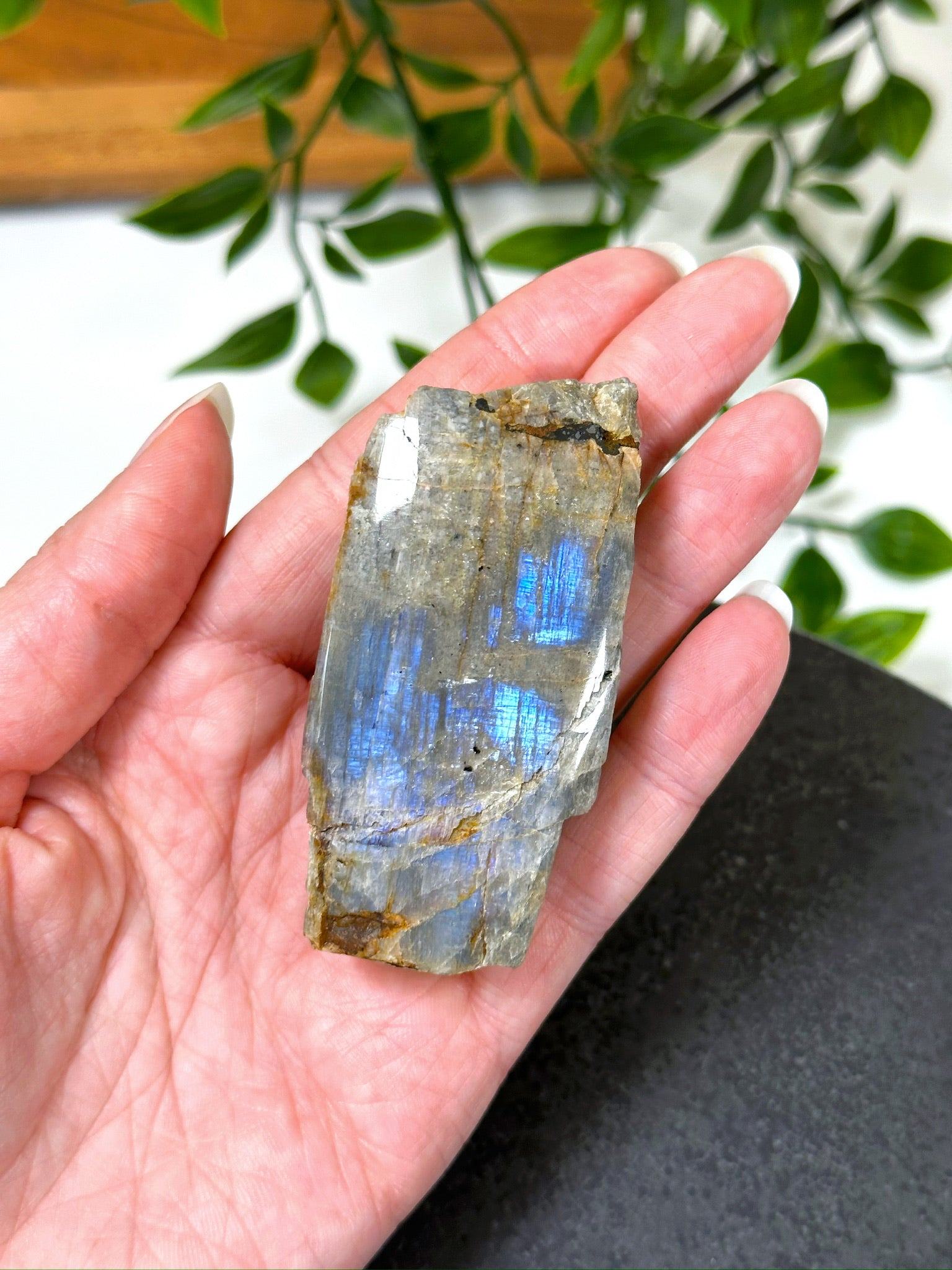 ELECTRIC BLUE MOONSTONE 7 (WISCONSIN) - Black Friday sale, blue moonstone, electric blue moonstone, moonstone, once in a blue moon, one of a kind, Wisconsin moonstone - The Mineral Maven