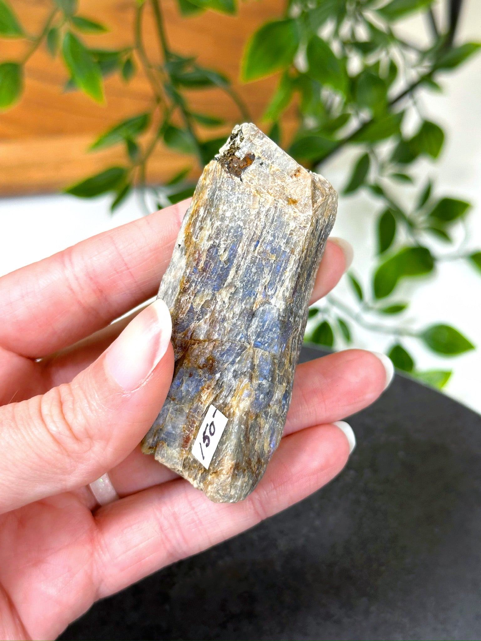 ELECTRIC BLUE MOONSTONE 7 (WISCONSIN) - Black Friday sale, blue moonstone, electric blue moonstone, moonstone, once in a blue moon, one of a kind, Wisconsin moonstone - The Mineral Maven