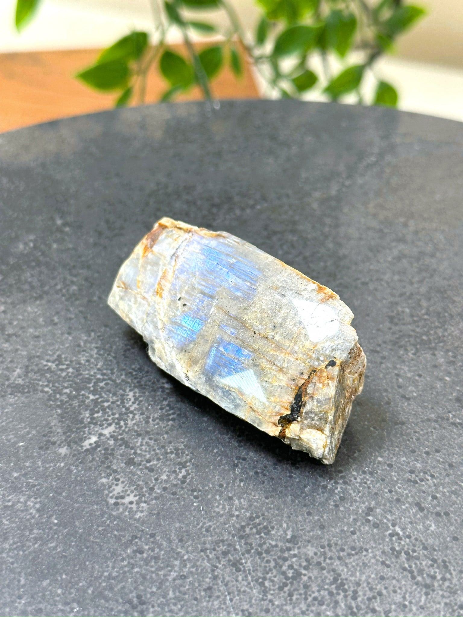 ELECTRIC BLUE MOONSTONE 7 (WISCONSIN) - Black Friday sale, blue moonstone, electric blue moonstone, moonstone, once in a blue moon, one of a kind, Wisconsin moonstone - The Mineral Maven