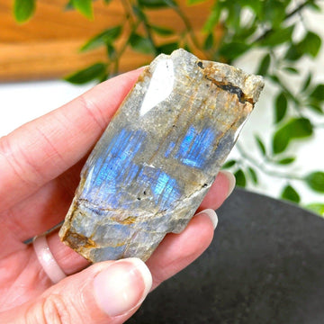 ELECTRIC BLUE MOONSTONE 7 (WISCONSIN) - blue moonstone, electric blue moonstone, moonstone, once in a blue moon, one of a kind, Recently added, Wisconsin moonstone - The Mineral Maven