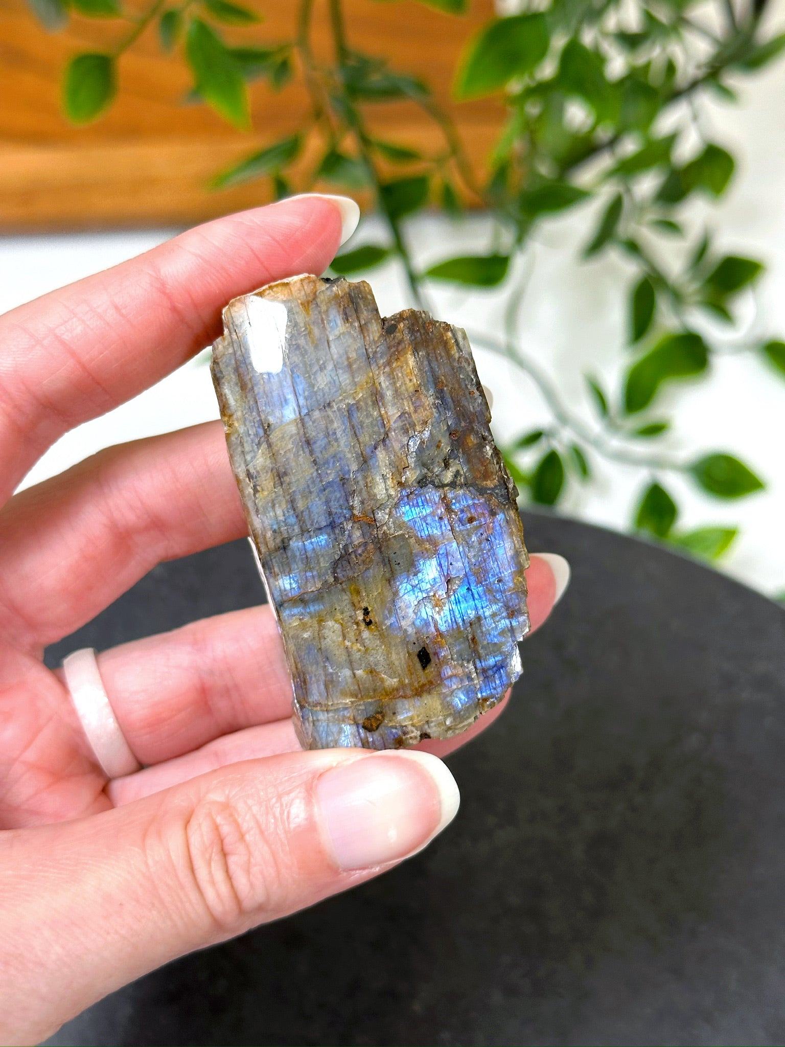 ELECTRIC BLUE MOONSTONE 8 (WISCONSIN) - Black Friday sale, blue moonstone, electric blue moonstone, moonstone, once in a blue moon, one of a kind, Wisconsin moonstone - The Mineral Maven