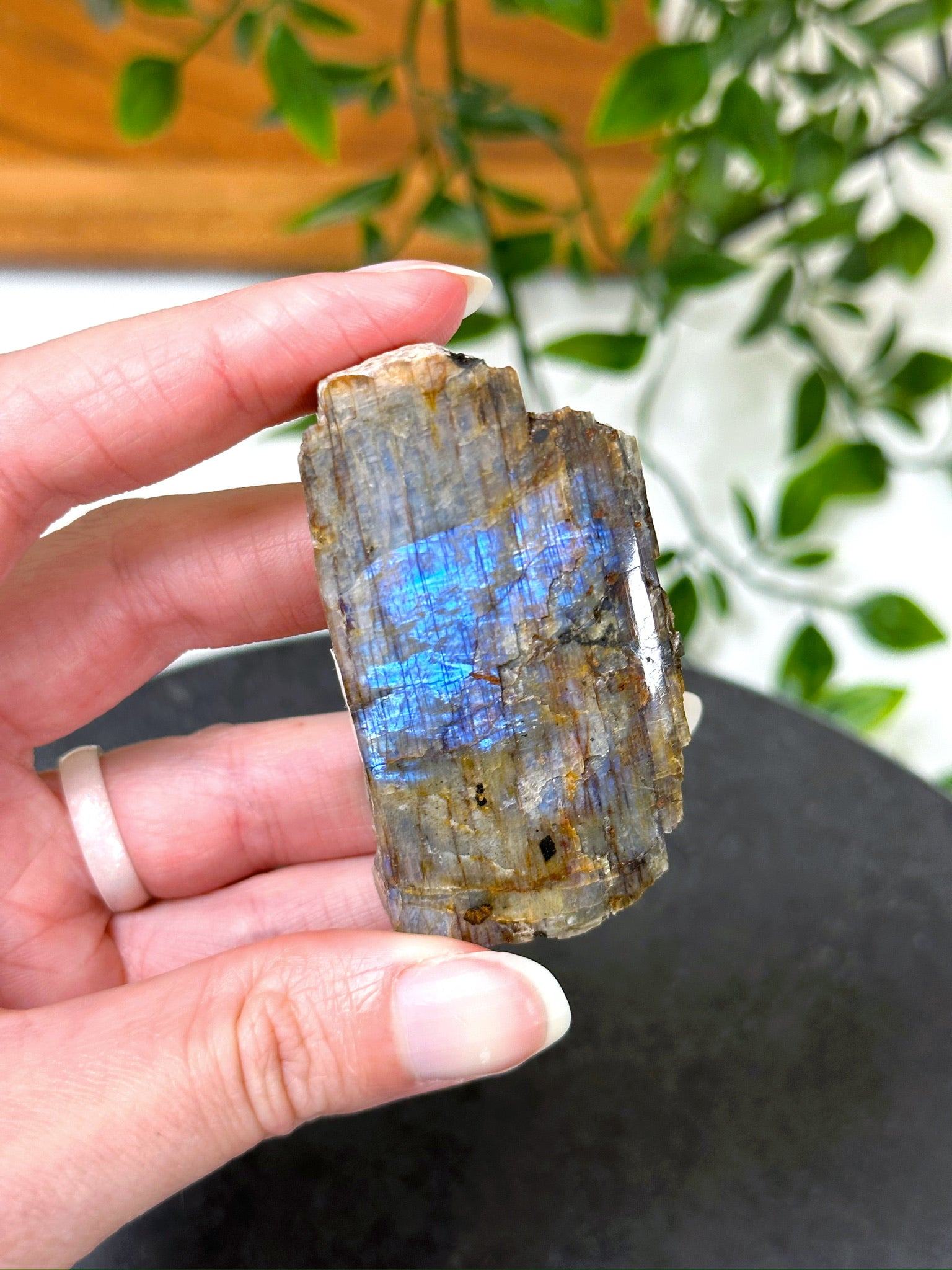 ELECTRIC BLUE MOONSTONE 8 (WISCONSIN) - Black Friday sale, blue moonstone, electric blue moonstone, moonstone, once in a blue moon, one of a kind, Wisconsin moonstone - The Mineral Maven