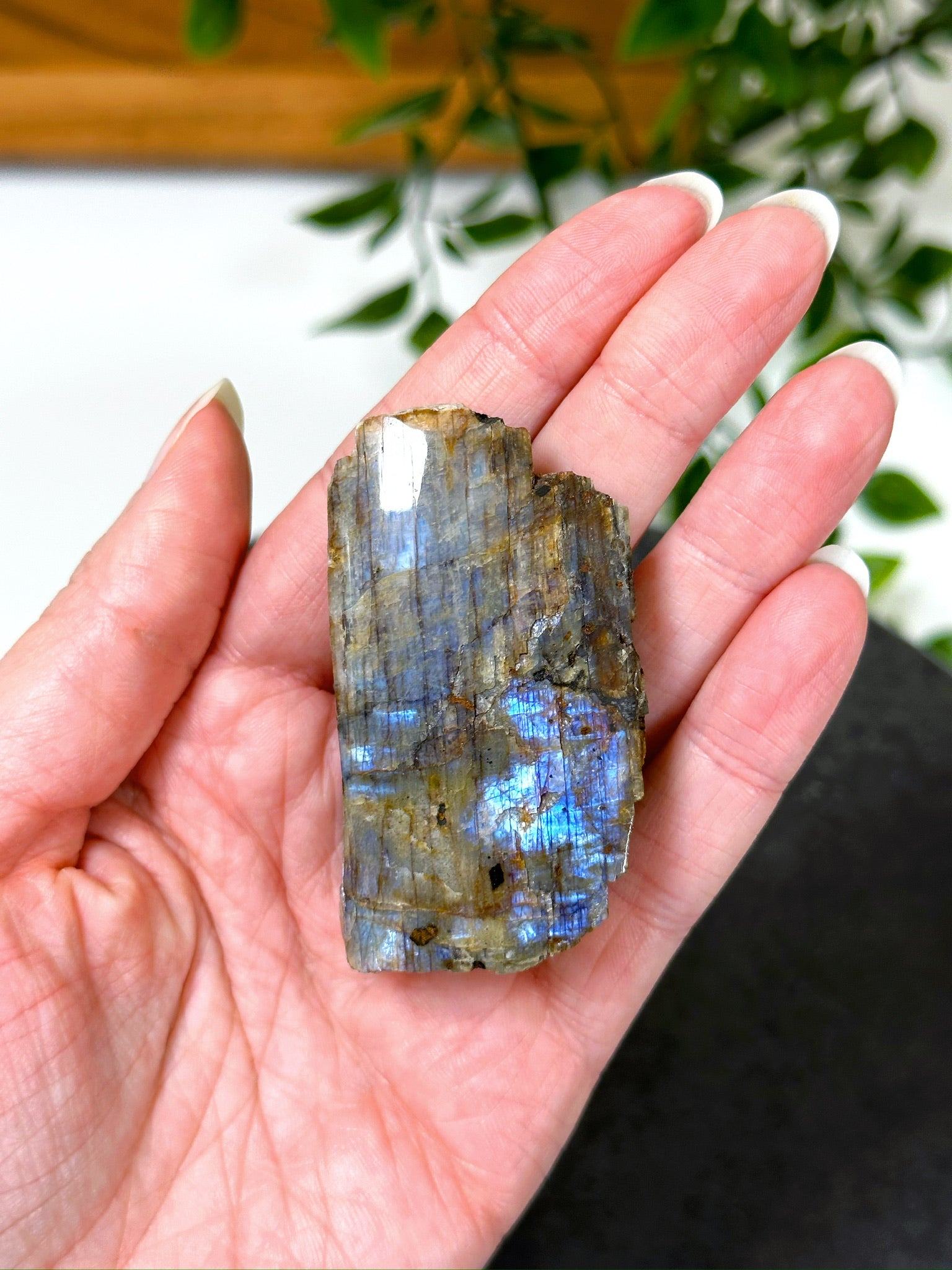 ELECTRIC BLUE MOONSTONE 8 (WISCONSIN) - Black Friday sale, blue moonstone, electric blue moonstone, moonstone, once in a blue moon, one of a kind, Wisconsin moonstone - The Mineral Maven
