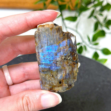 ELECTRIC BLUE MOONSTONE 8 (WISCONSIN) - blue moonstone, electric blue moonstone, moonstone, once in a blue moon, one of a kind, Recently added, Wisconsin moonstone - The Mineral Maven