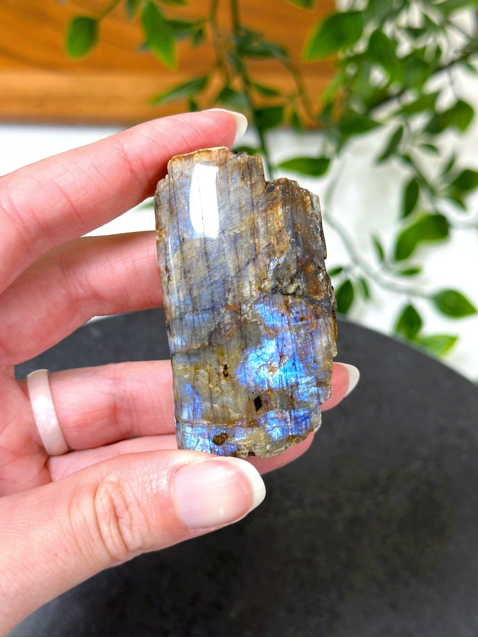 ELECTRIC BLUE MOONSTONE 8 (WISCONSIN) - blue moonstone, electric blue moonstone, moonstone, once in a blue moon, one of a kind, Recently added, Wisconsin moonstone - The Mineral Maven