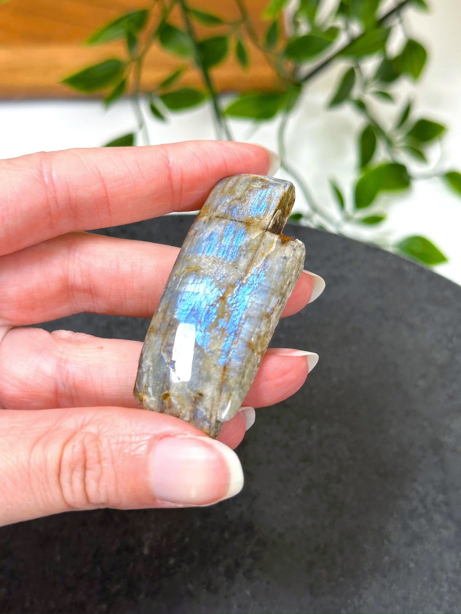 ELECTRIC BLUE MOONSTONE 9 (WISCONSIN) - Black Friday sale, blue moonstone, electric blue moonstone, moonstone, once in a blue moon, one of a kind, Wisconsin moonstone - The Mineral Maven