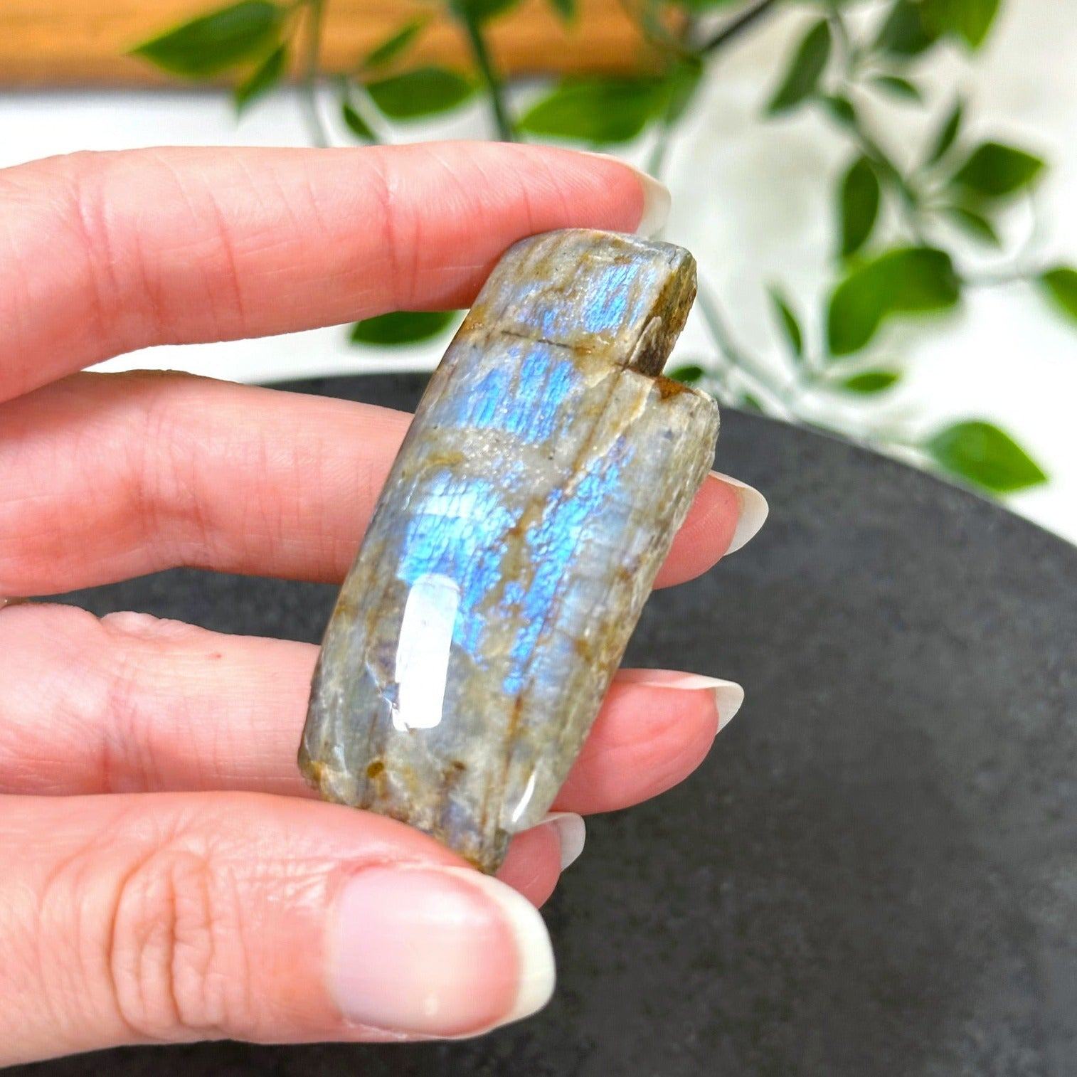 ELECTRIC BLUE MOONSTONE 9 (WISCONSIN) - Black Friday sale, blue moonstone, electric blue moonstone, moonstone, once in a blue moon, one of a kind, Wisconsin moonstone - The Mineral Maven