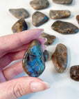 ELECTRIC BLUE MOONSTONE TUMBLE - Black Friday sale, blue moonstone, electric blue moonstone, emotional support, end of year sale, holiday sale, once in a blue moon, pocket crystal, solar eclipse, taurus, taurus season, tumble, wisconsin moonstone - The Mineral Maven