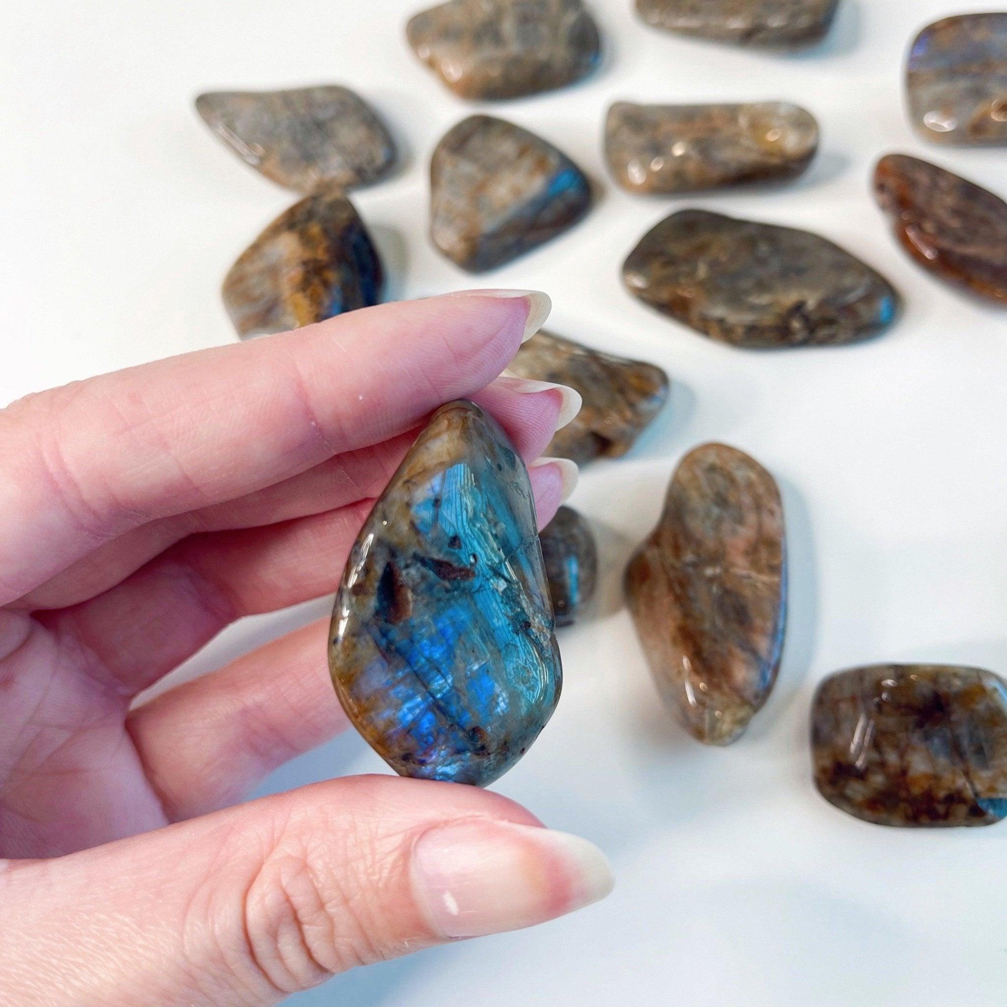 ELECTRIC BLUE MOONSTONE TUMBLE - blue moonstone, electric blue moonstone, emotional support, end of year sale, holiday sale, once in a blue moon, pocket crystal, solar eclipse, taurus, taurus season, tumble, wisconsin moonstone - The Mineral Maven