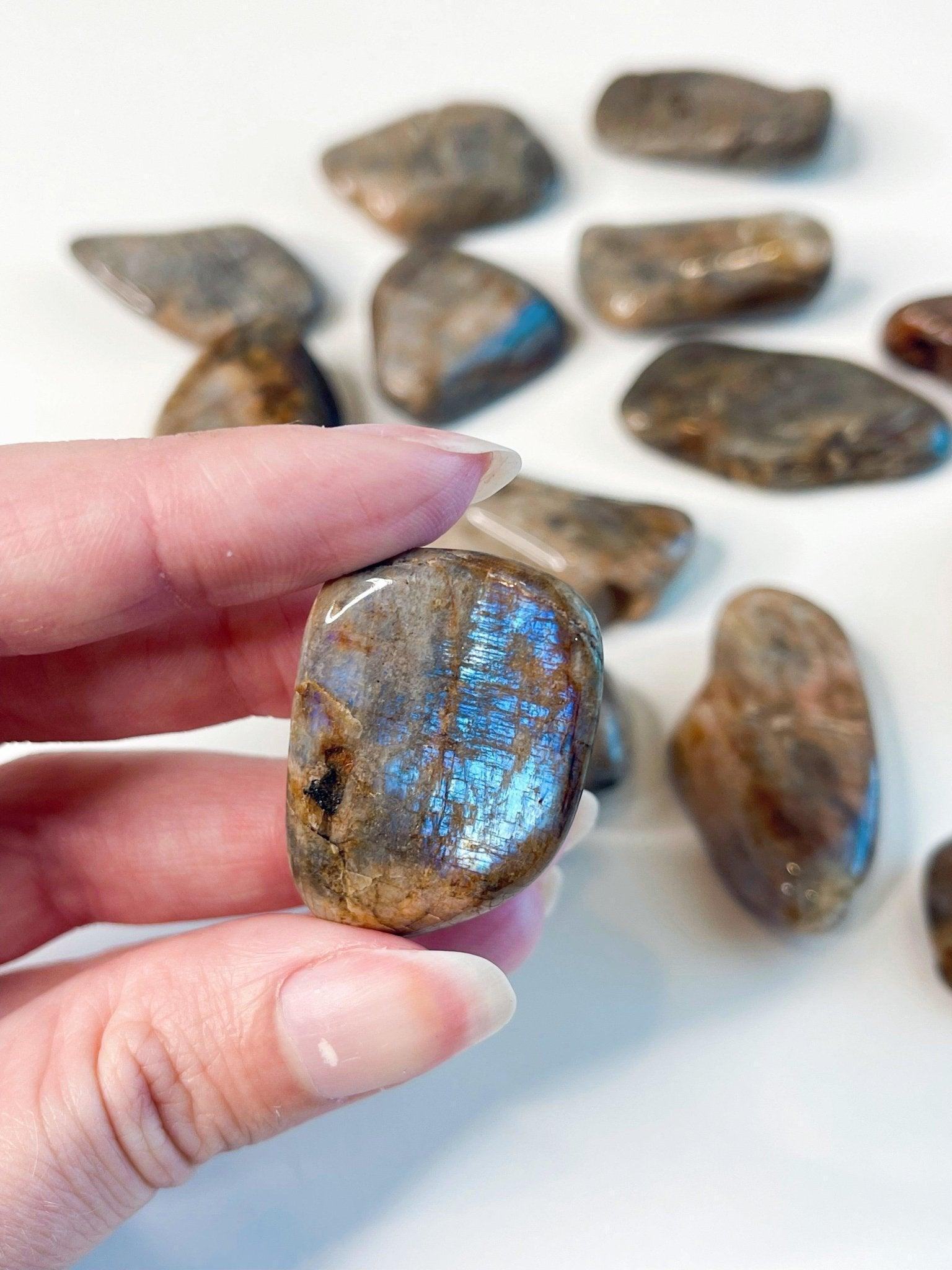 ELECTRIC BLUE MOONSTONE TUMBLE - blue moonstone, electric blue moonstone, emotional support, end of year sale, holiday sale, once in a blue moon, pocket crystal, solar eclipse, taurus, taurus season, tumble, wisconsin moonstone - The Mineral Maven