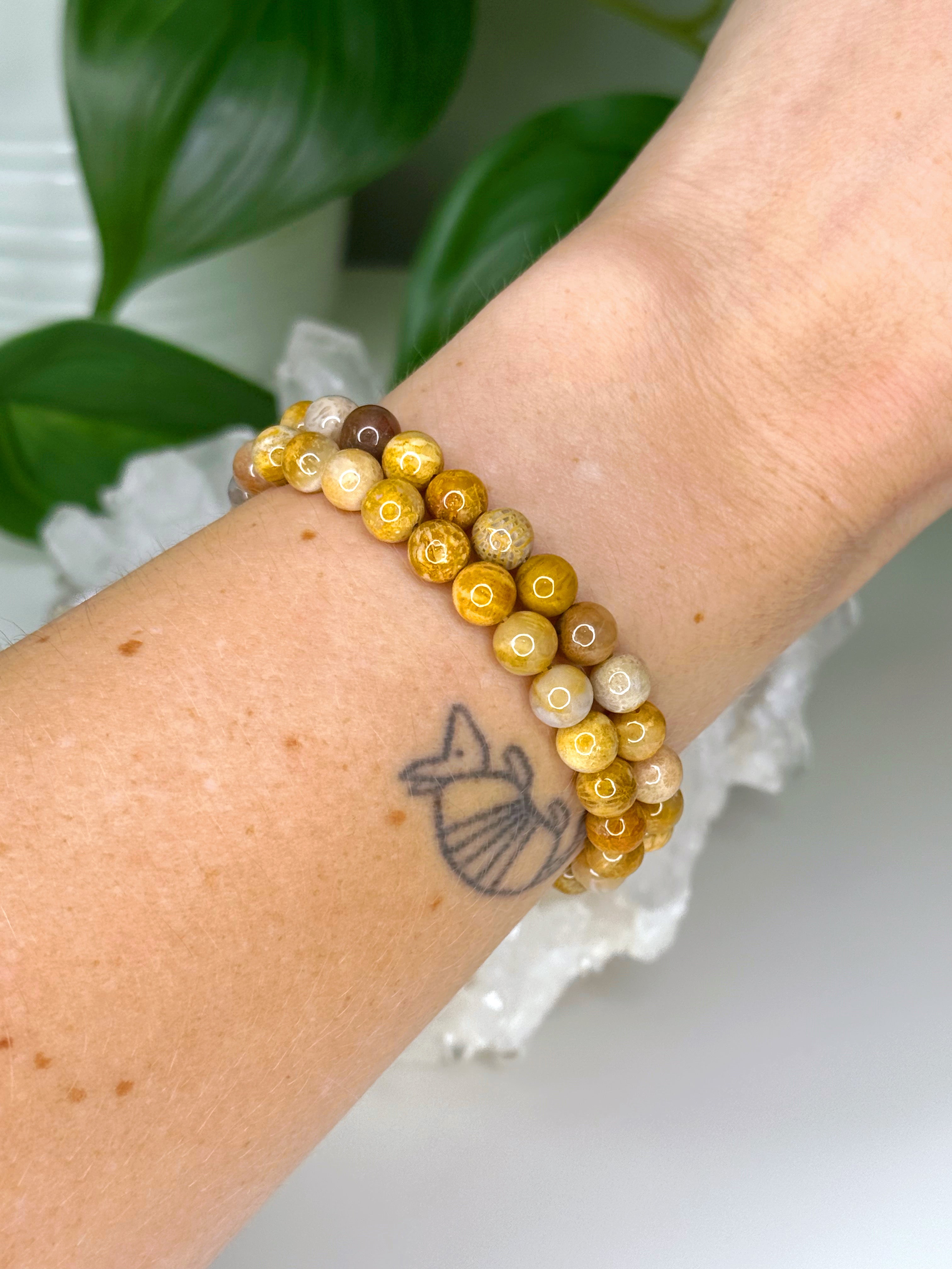 FOSSIL CORAL 6mm - HANDMADE CRYSTAL BRACELET - 6mm, bracelet, crystal bracelet, fossil coral, gemini, gemini stack, handmade bracelet, jewelry, mixed colors, scorpio, summerween collection, water, Wearable - The Mineral Maven