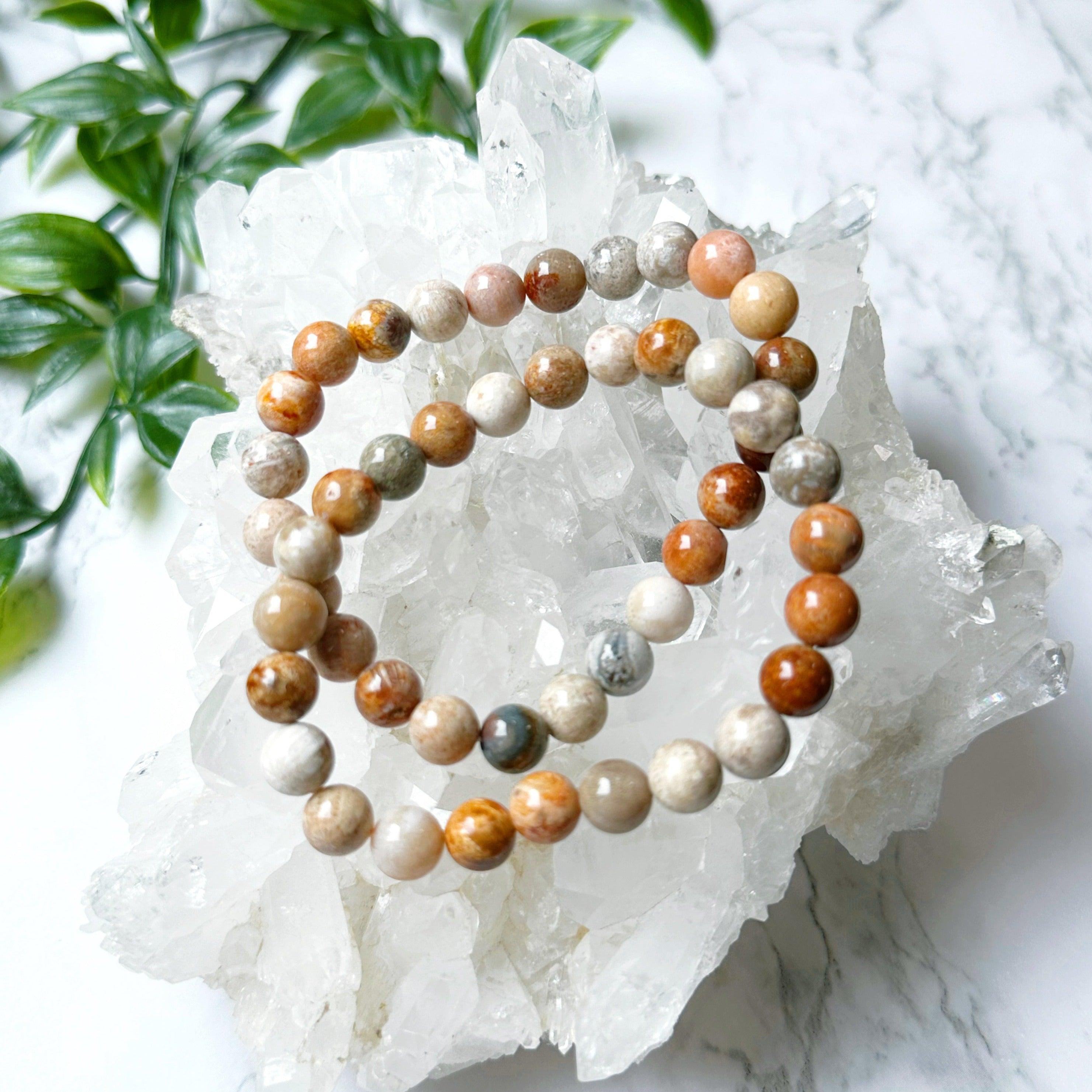 FOSSIL CORAL 8mm - HANDMADE CRYSTAL BRACELET - 8mm, bracelet, crystal bracelet, fossil coral, gemini, gemini stack, handmade bracelet, jewelry, june wrist candy, market bracelet, mixed colors, recently added, scorpio, scorpio stack, summer wrist candy, water, Wearable - The Mineral Maven