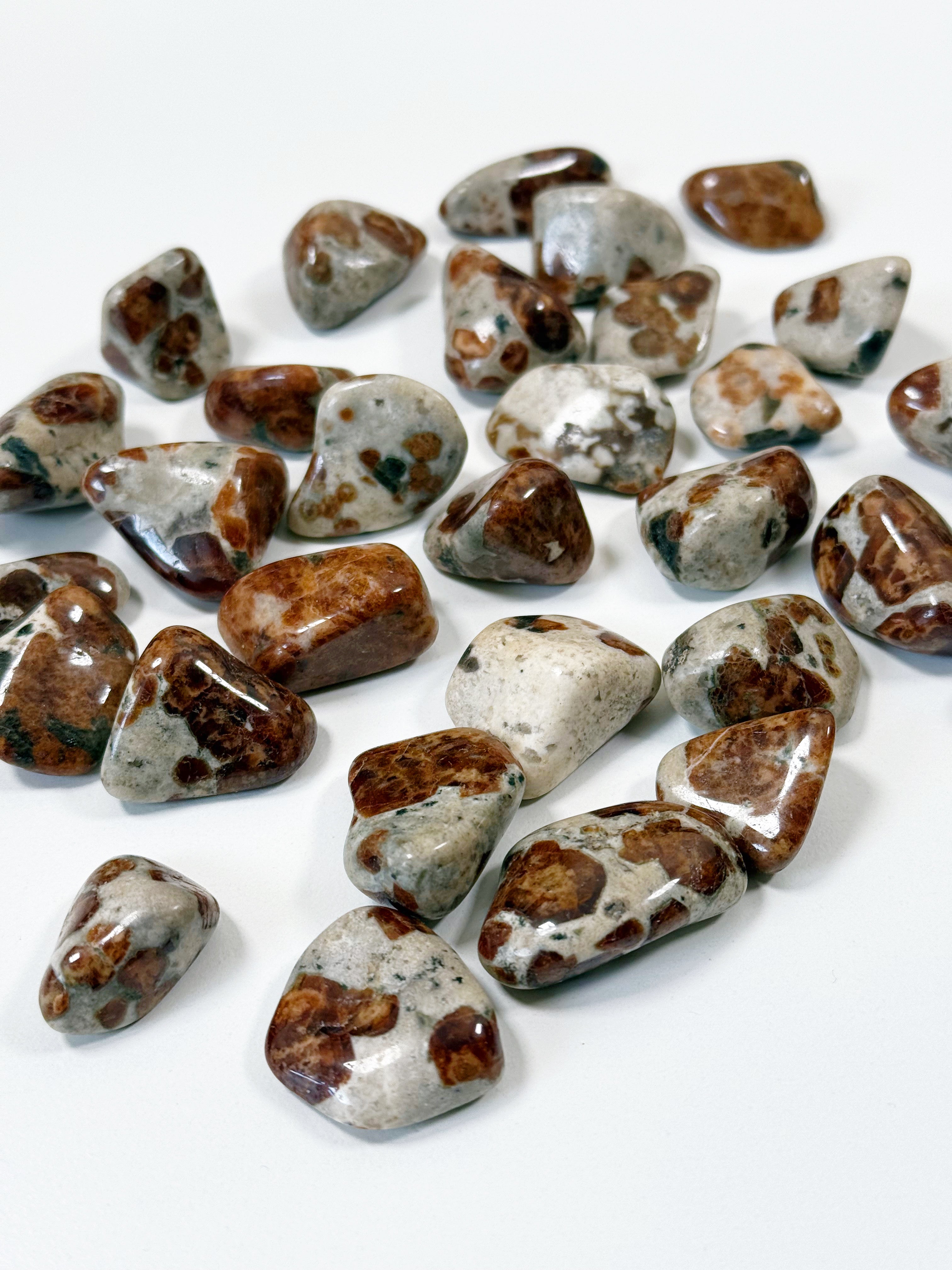 GARNET IN WOLLASTONITE TUMBLE - garnet, garnet in wollastonite, leo season, pocket crystal, polished, tucson mini drop, tumble, wollastonite - The Mineral Maven
