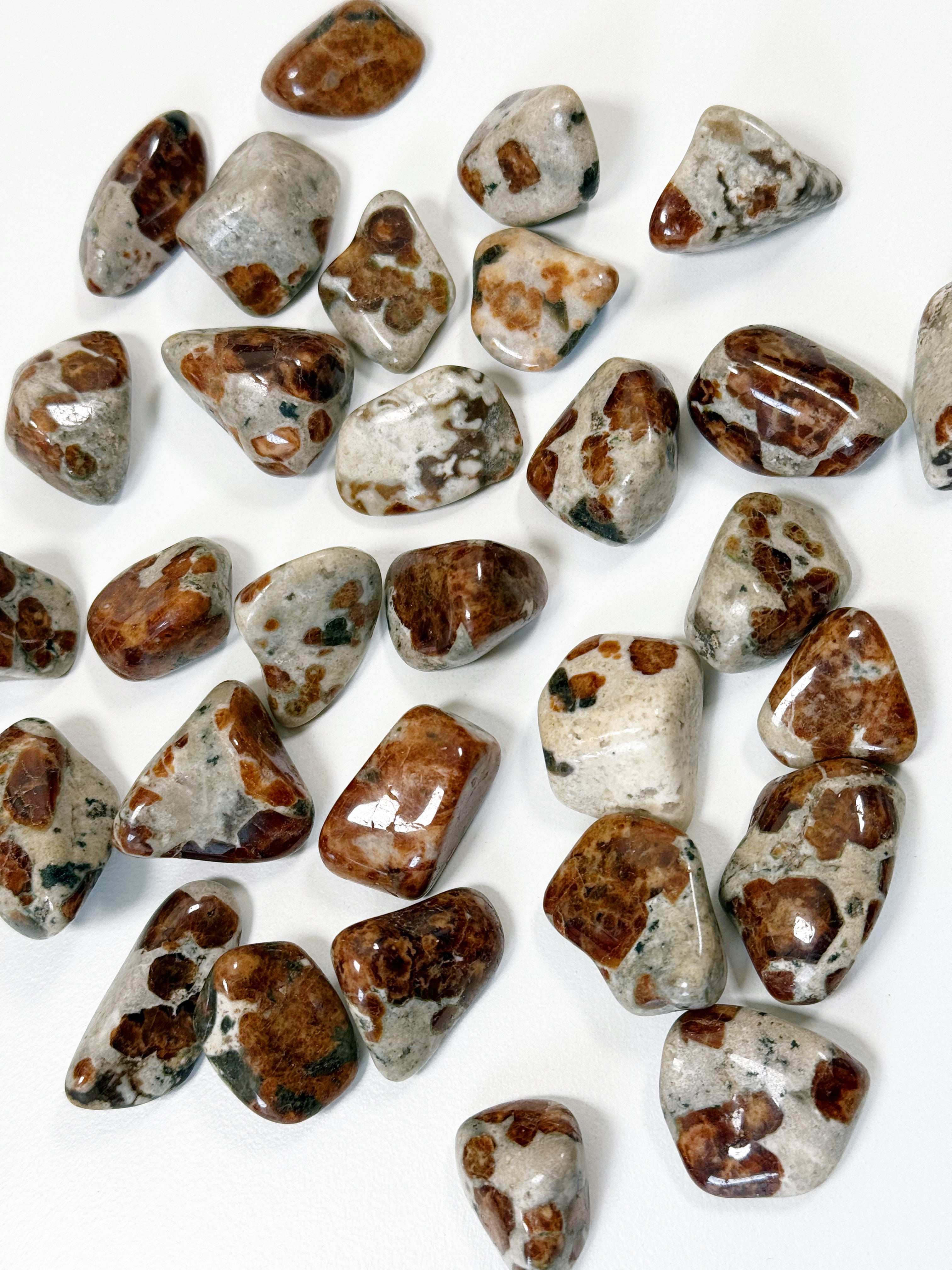 GARNET IN WOLLASTONITE TUMBLE - garnet, garnet in wollastonite, leo season, pocket crystal, polished, tucson mini drop, tumble, wollastonite - The Mineral Maven